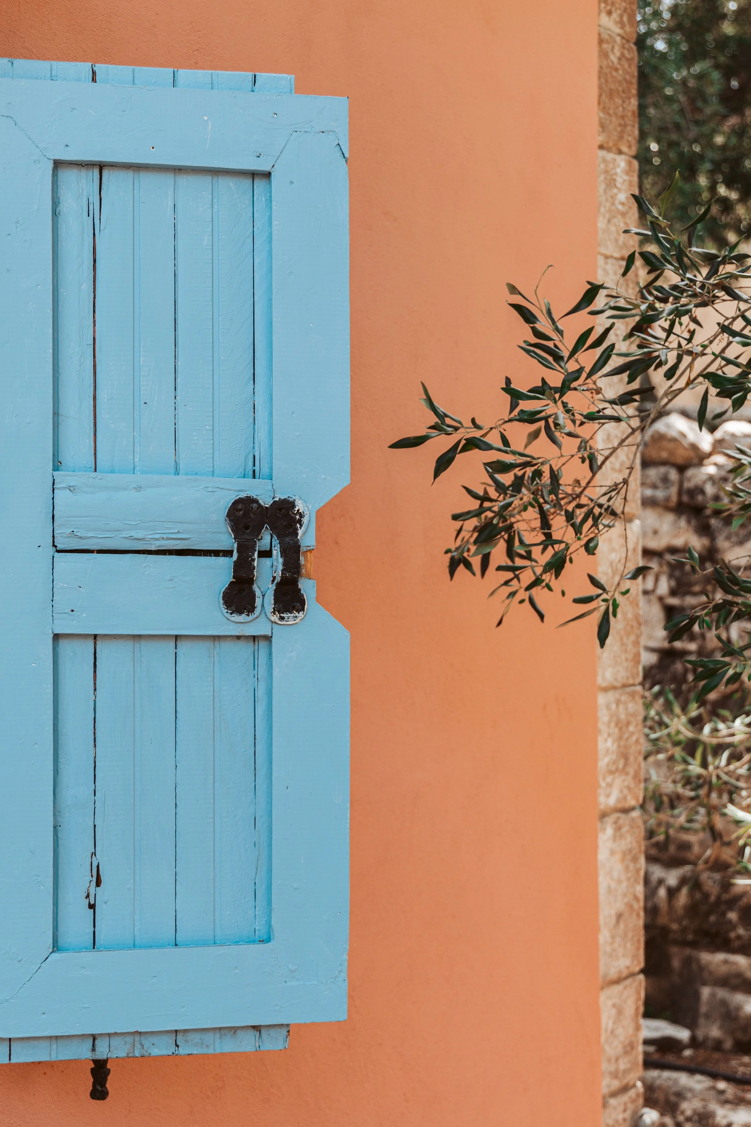 Light blue wooden window shutter closed against a peach-colored wall with a black latch and a plant with green leaves nearby.