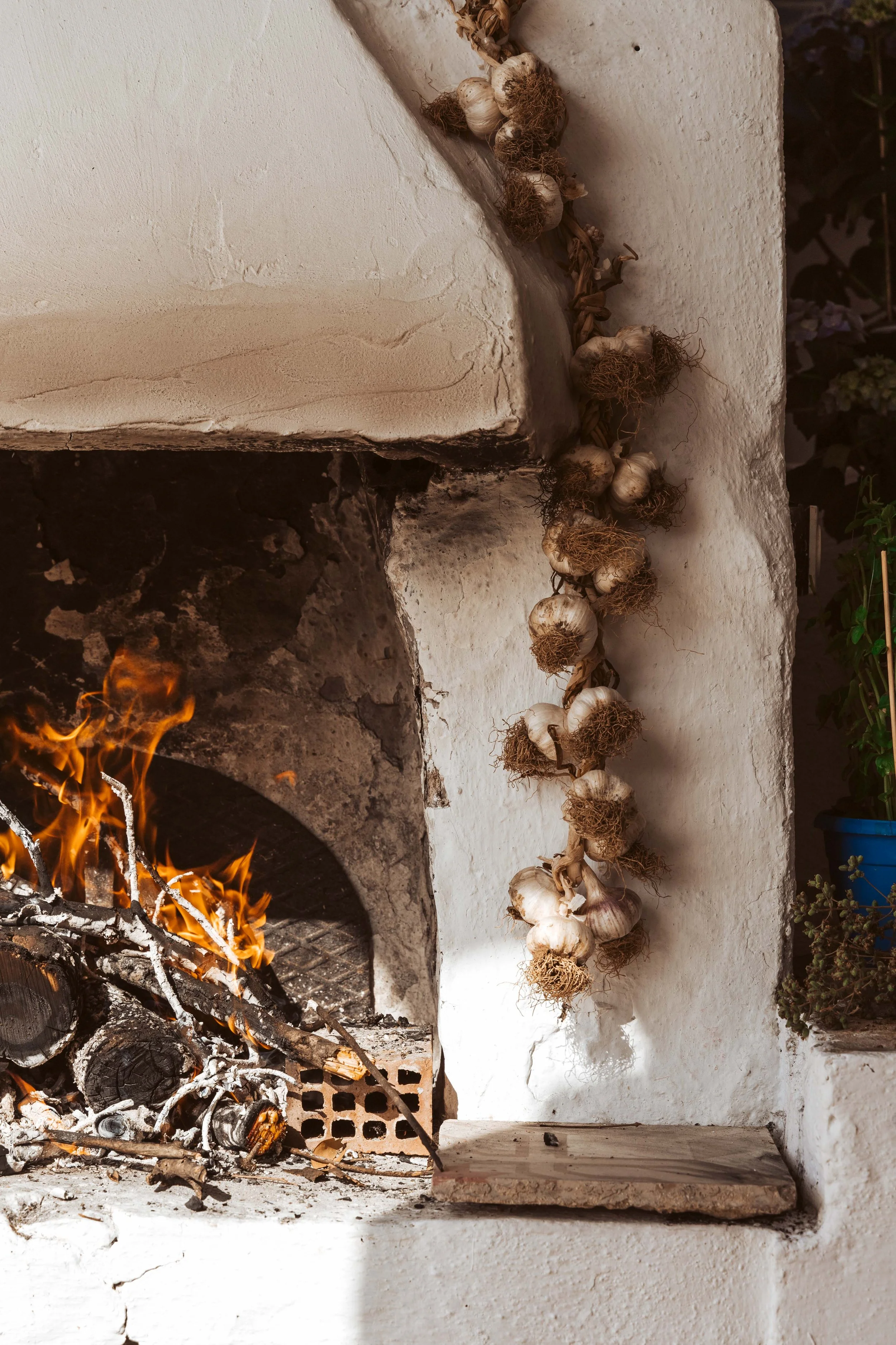 Garlic bulbs hanging next to a lit fireplace with logs and branches inside.