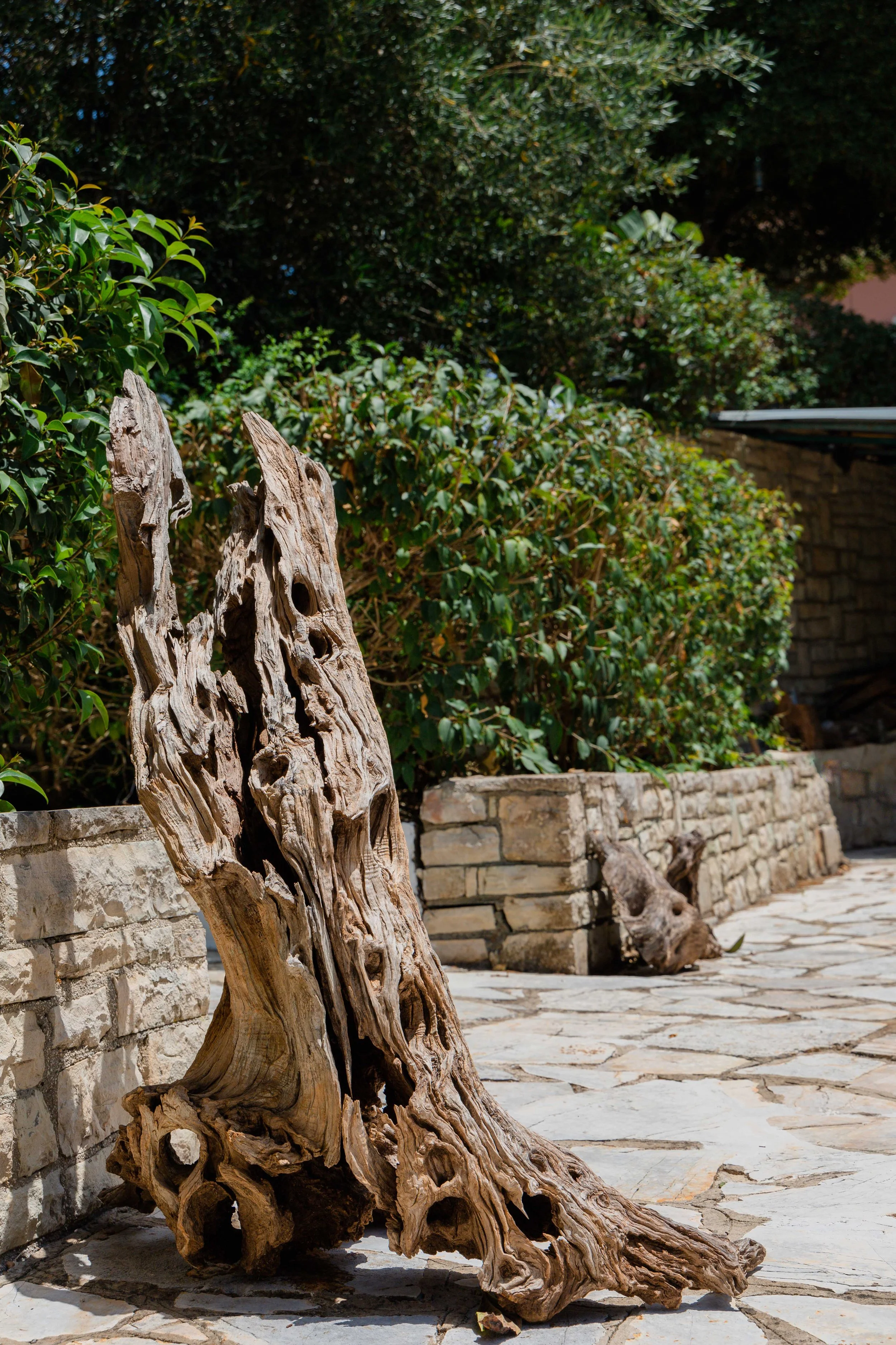 A large piece of intricately textured driftwood with numerous holes, placed on a stone patio with a stone wall and green foliage in the background.