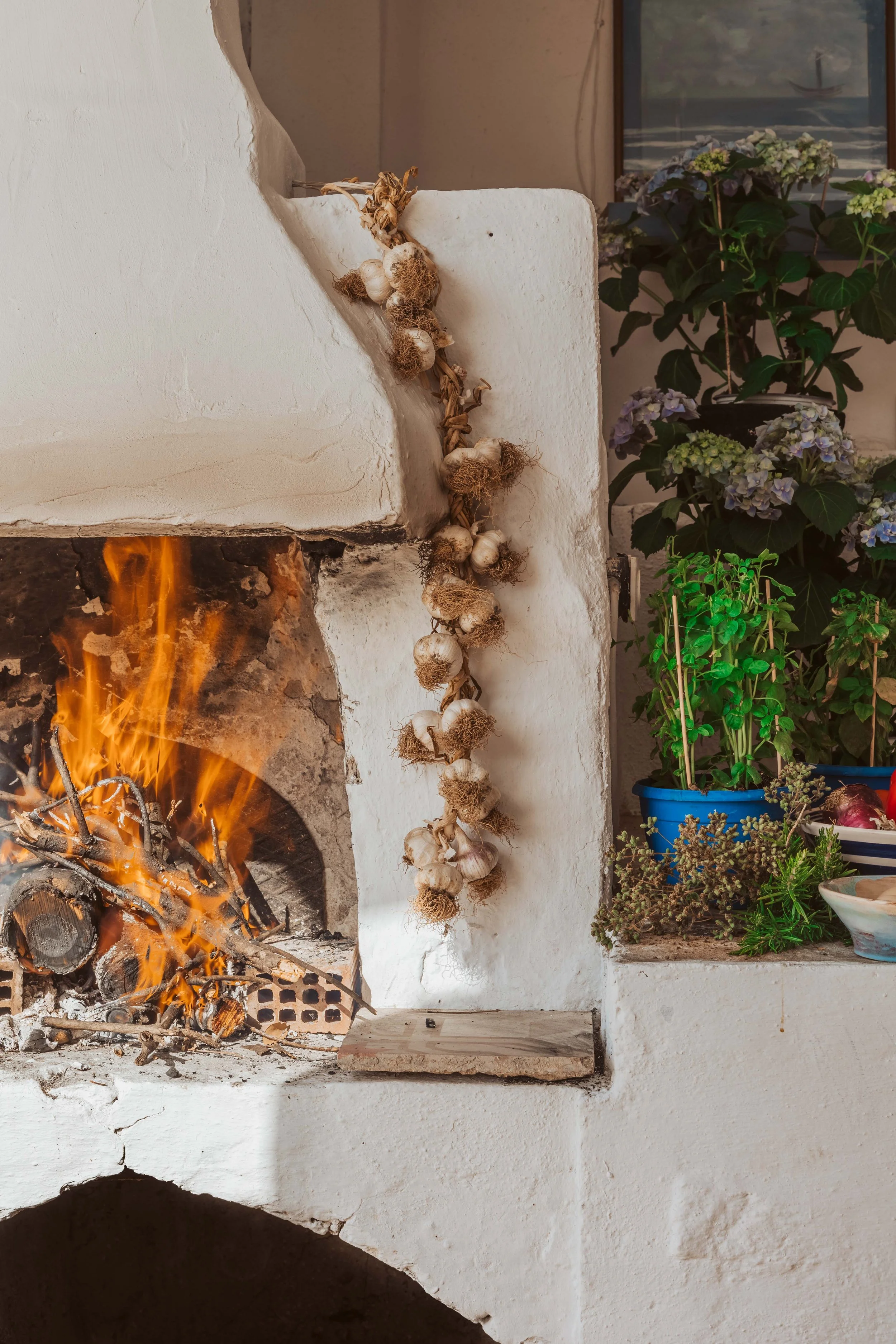 A cozy interior with a white stucco fireplace burning with firewood. A string of garlic hangs along the corner of the fireplace. To the right, potted plants, including basil and hydrangeas, are displayed on a ledge, with a painting in the background.