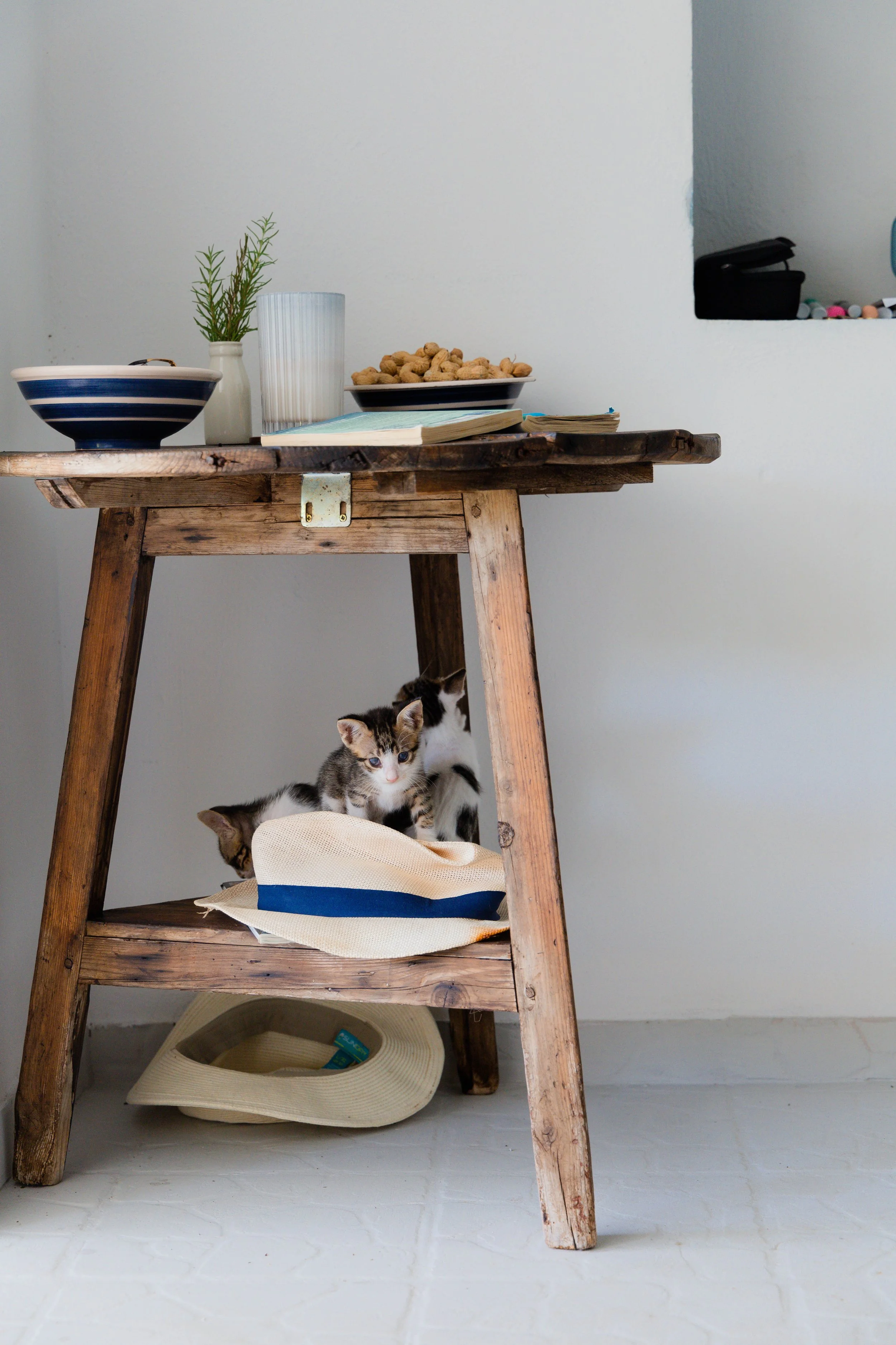 Three kittens under a rustic wooden table with snacks, books, and a plant on top.