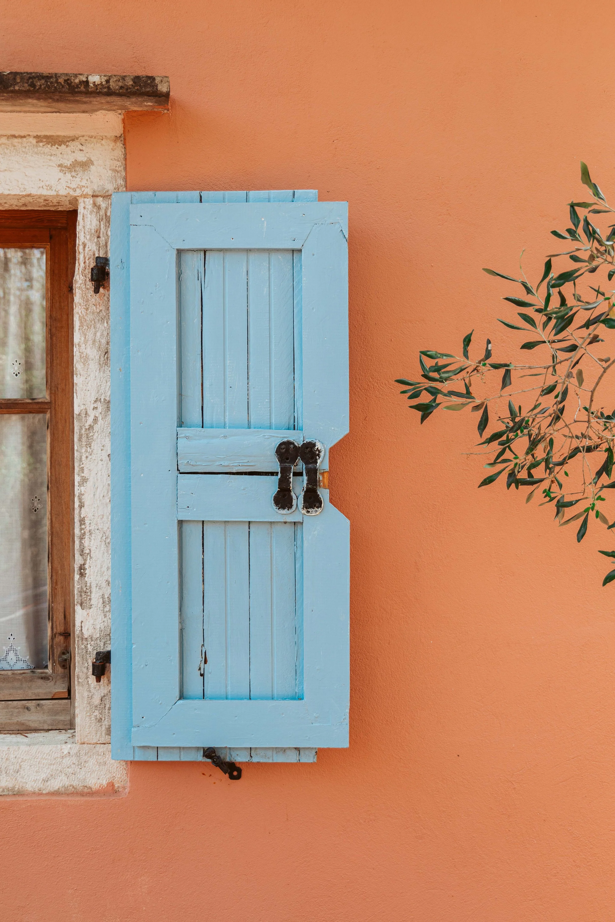 A window with blue wooden shutters on a peach-colored wall, with a small tree branch to the right.
