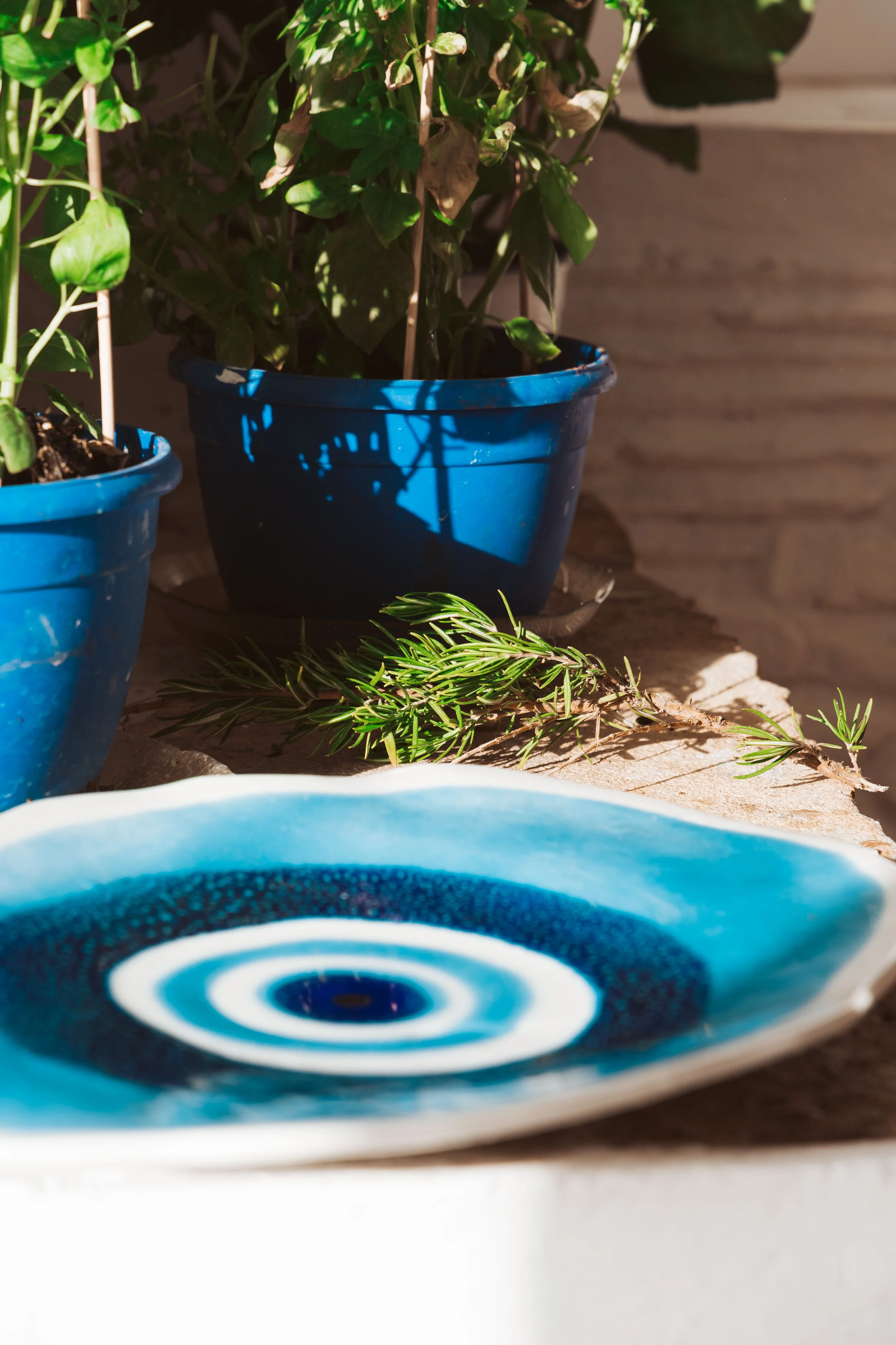 Potted plants on a wooden surface with a decorative blue and white plate in the foreground.