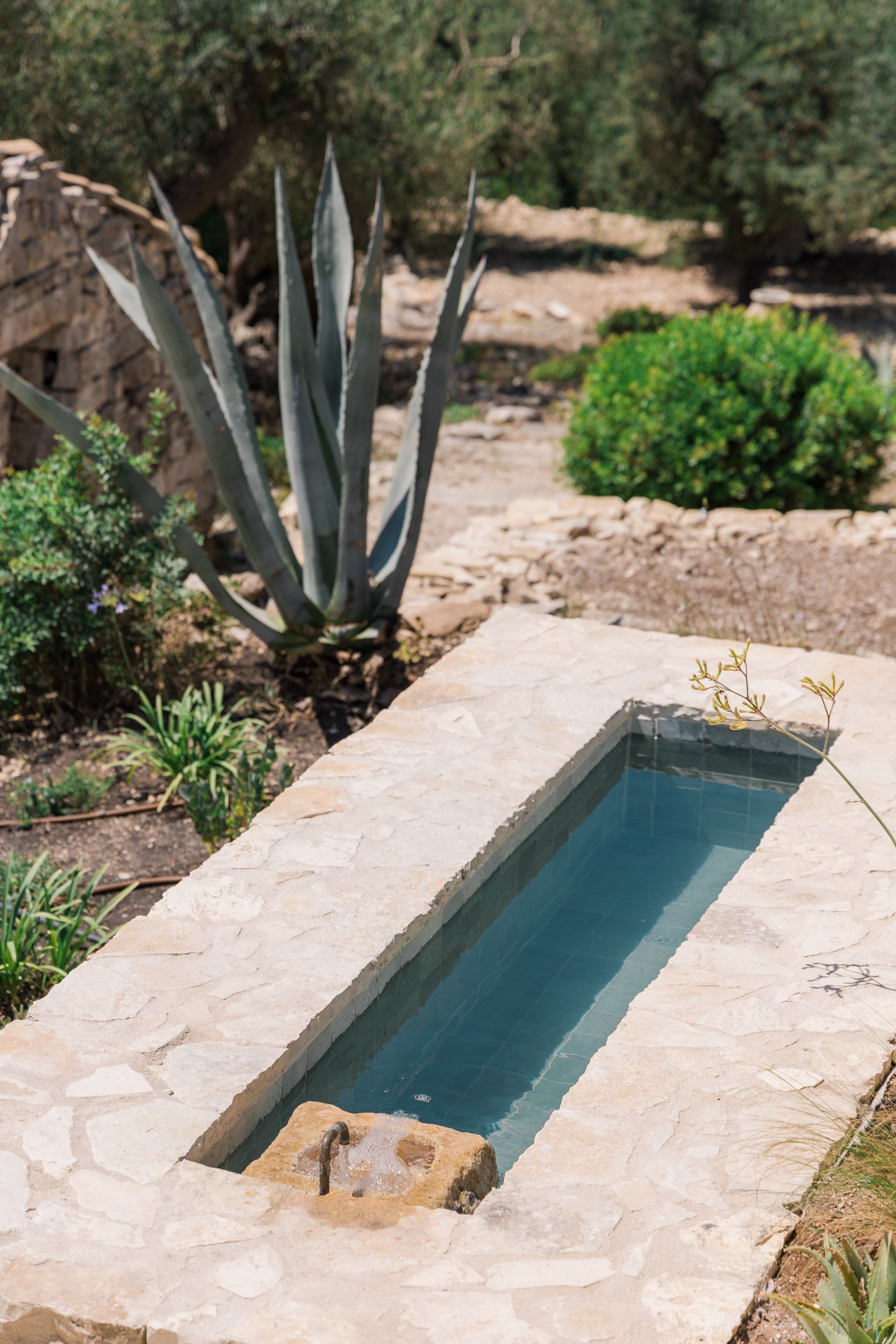 A rectangular stone water feature filled with water, situated outdoors among desert plants including a large agave plant and small shrubs.