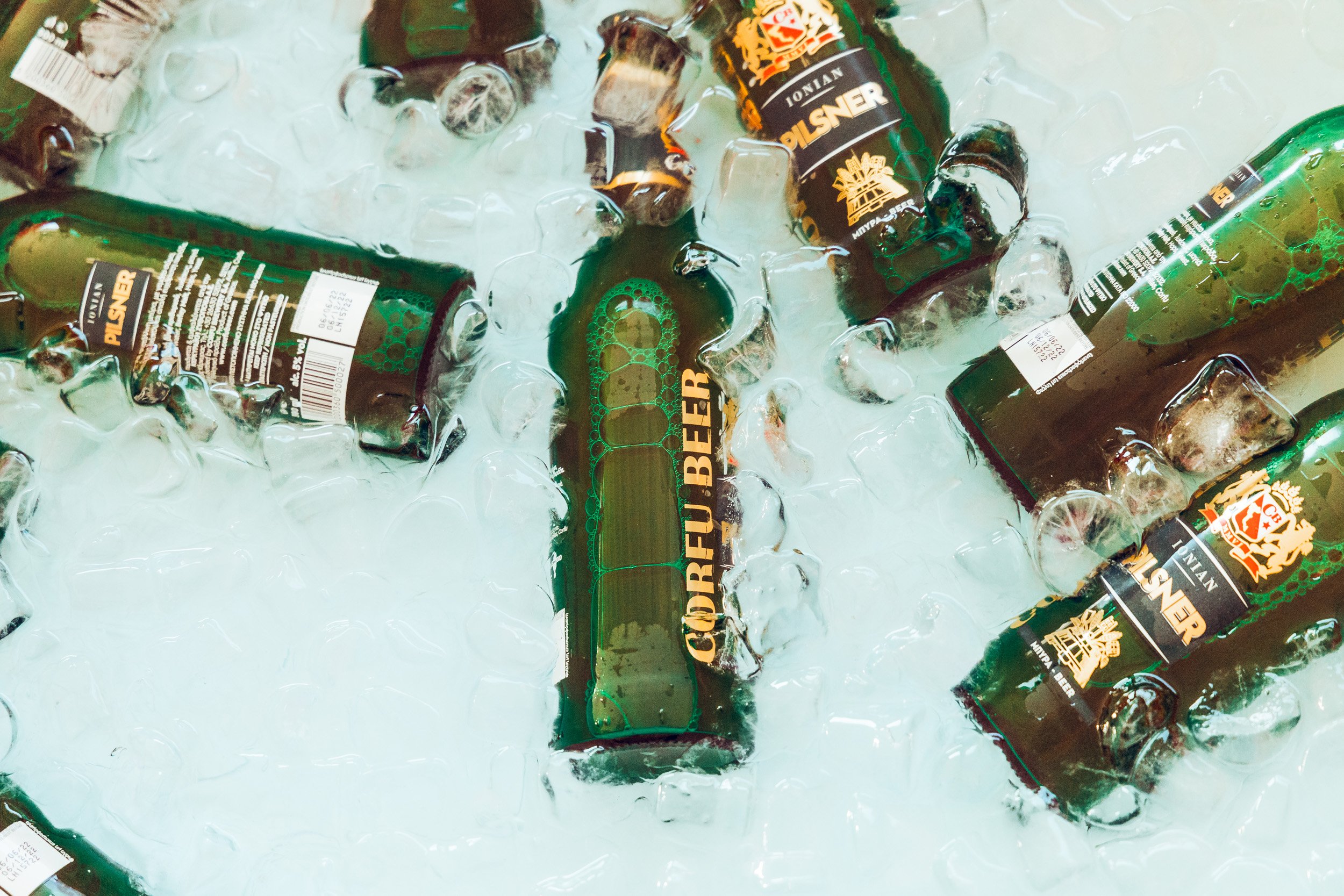 Six green glass beer bottles with labels submerged in ice water.