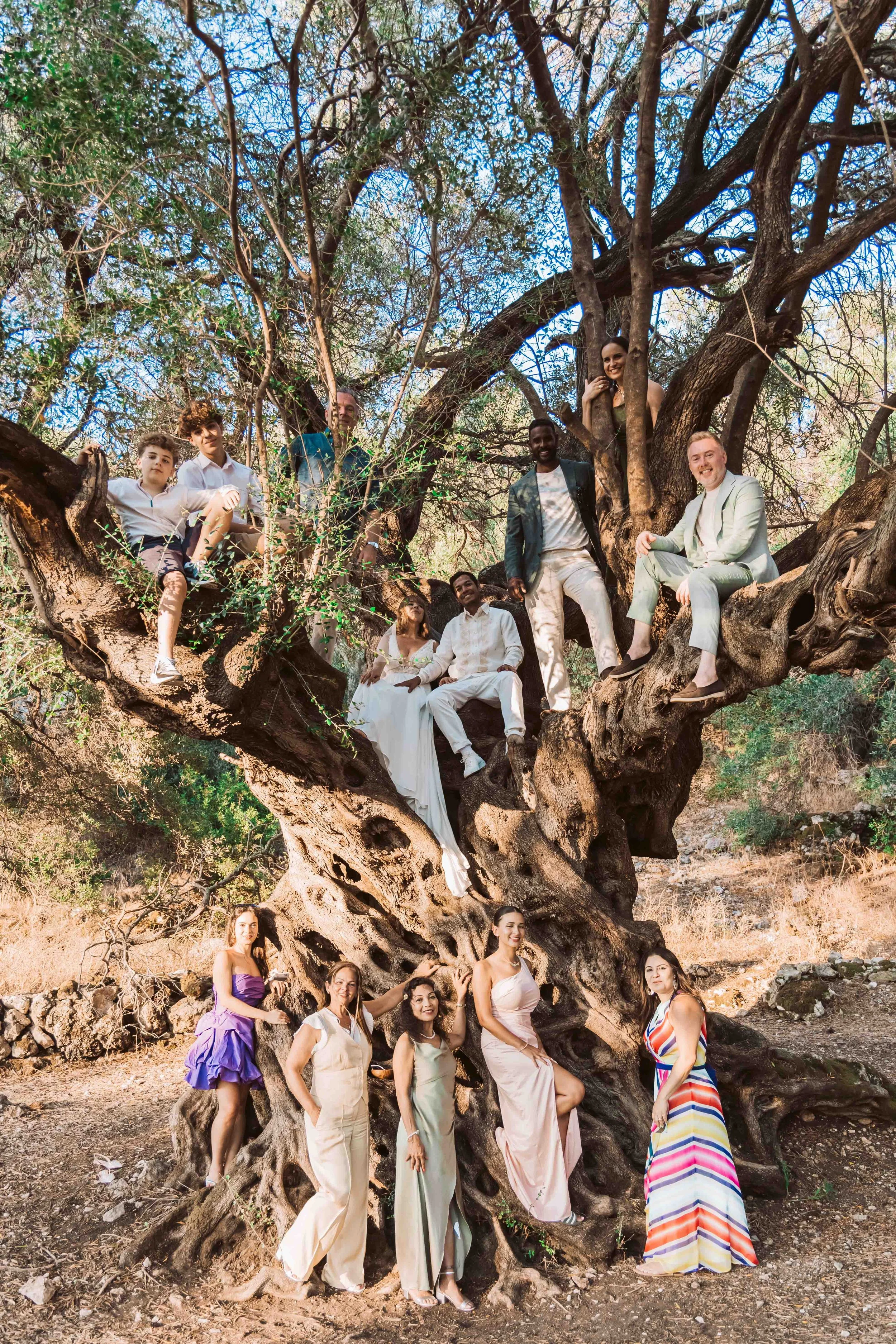 Group of people dressed in formal and semi-formal clothing gathering around and on a large, twisted tree in a natural outdoor setting with dry grass and rocks, some sitting on branches, others standing at the base, during daylight.