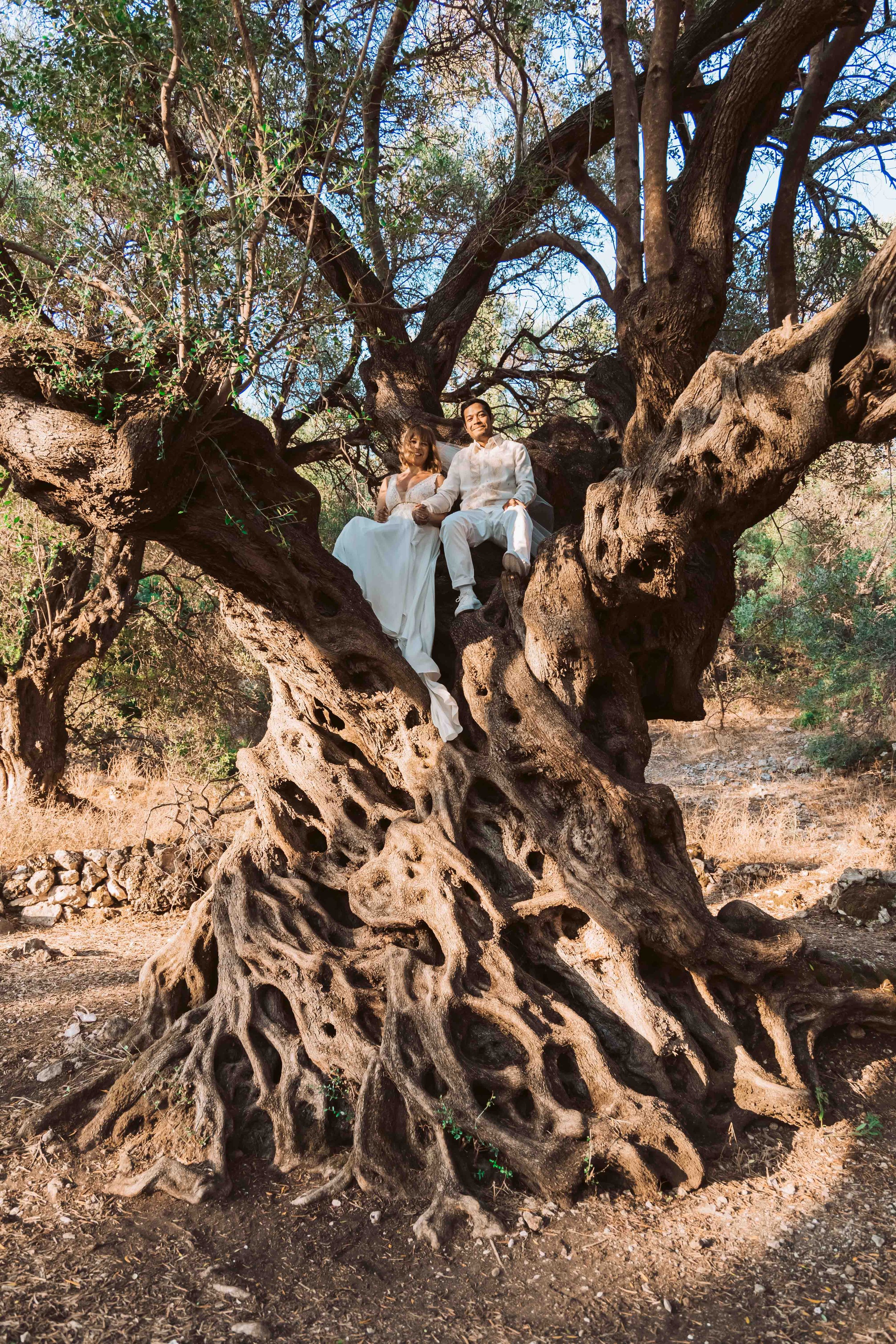 A couple dressed in wedding attire sitting on a large, gnarled tree branch in a natural outdoor setting with dry grass and rocks.