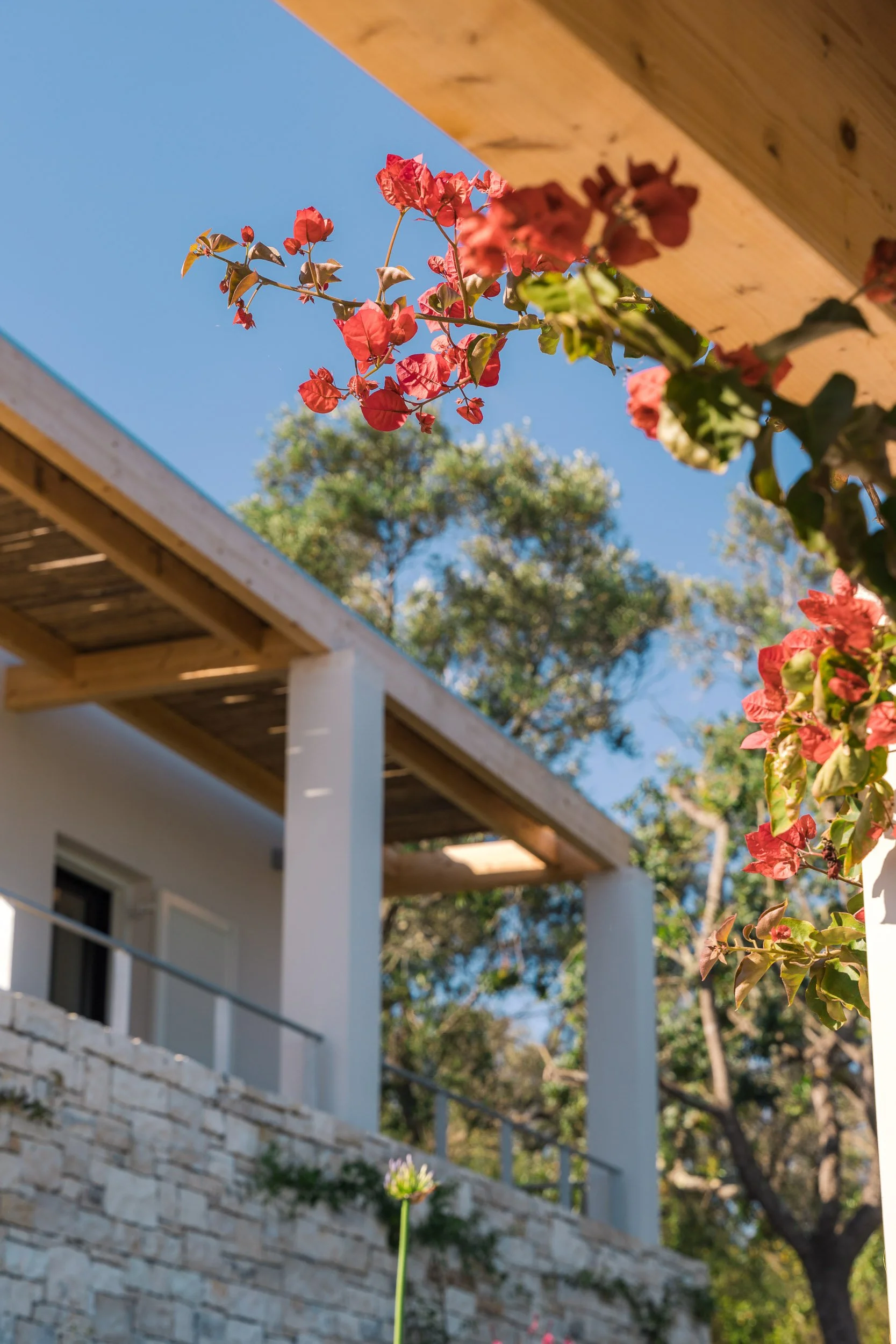 A view of a modern house with a stone wall, white columns, and wooden balcony, with pink flowers in the foreground and a clear blue sky.
