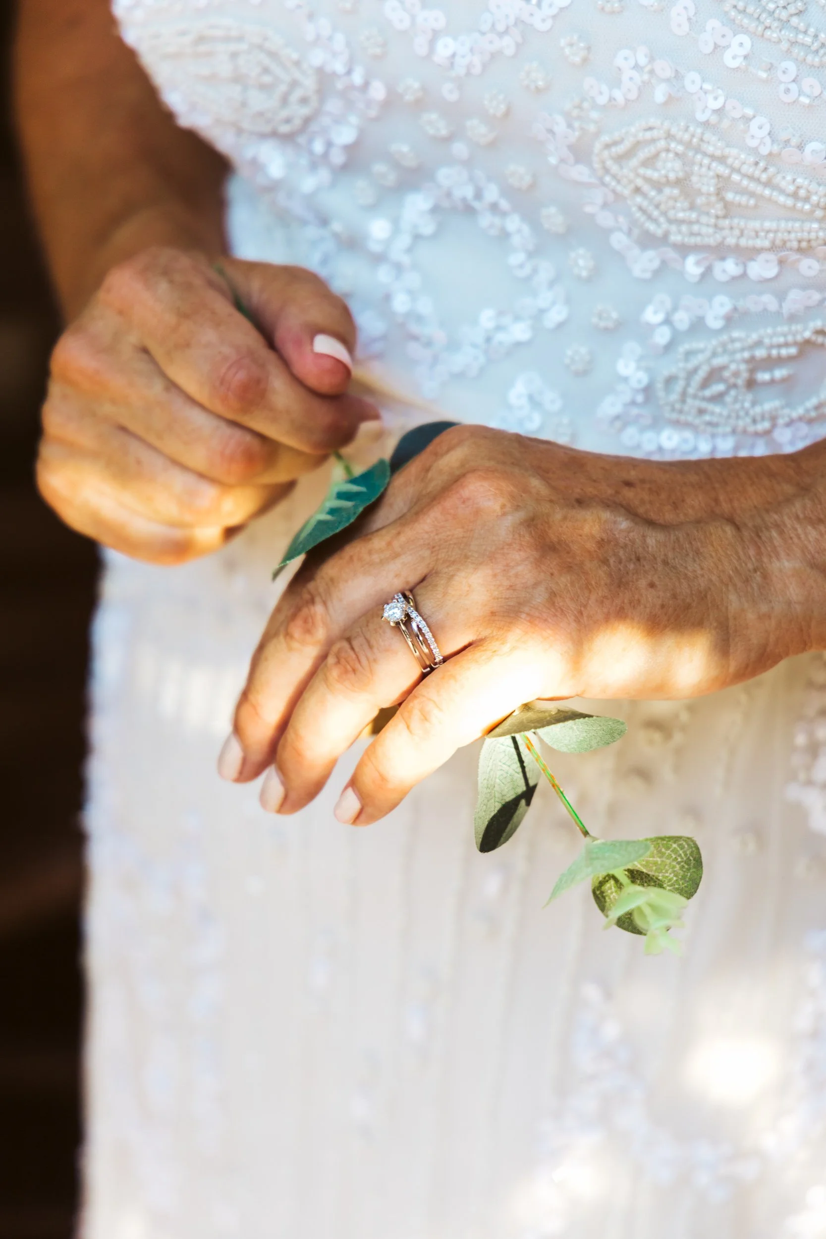 Close-up of an elderly woman's hands, with a wedding ring, holding a small green plant or sprig of leaves.