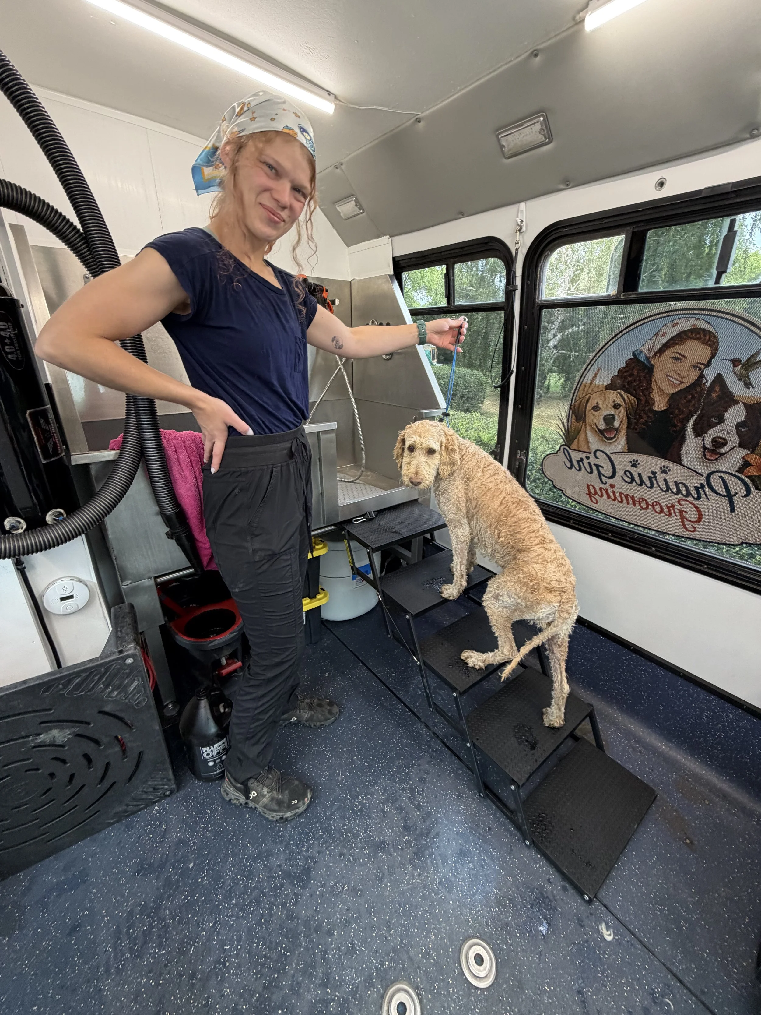 A woman in a blue t-shirt and black pants giving a bath to a curly-haired dog inside a mobile grooming van with accessible stairs for all sizes of dogs including older senior dogs with mobility issues