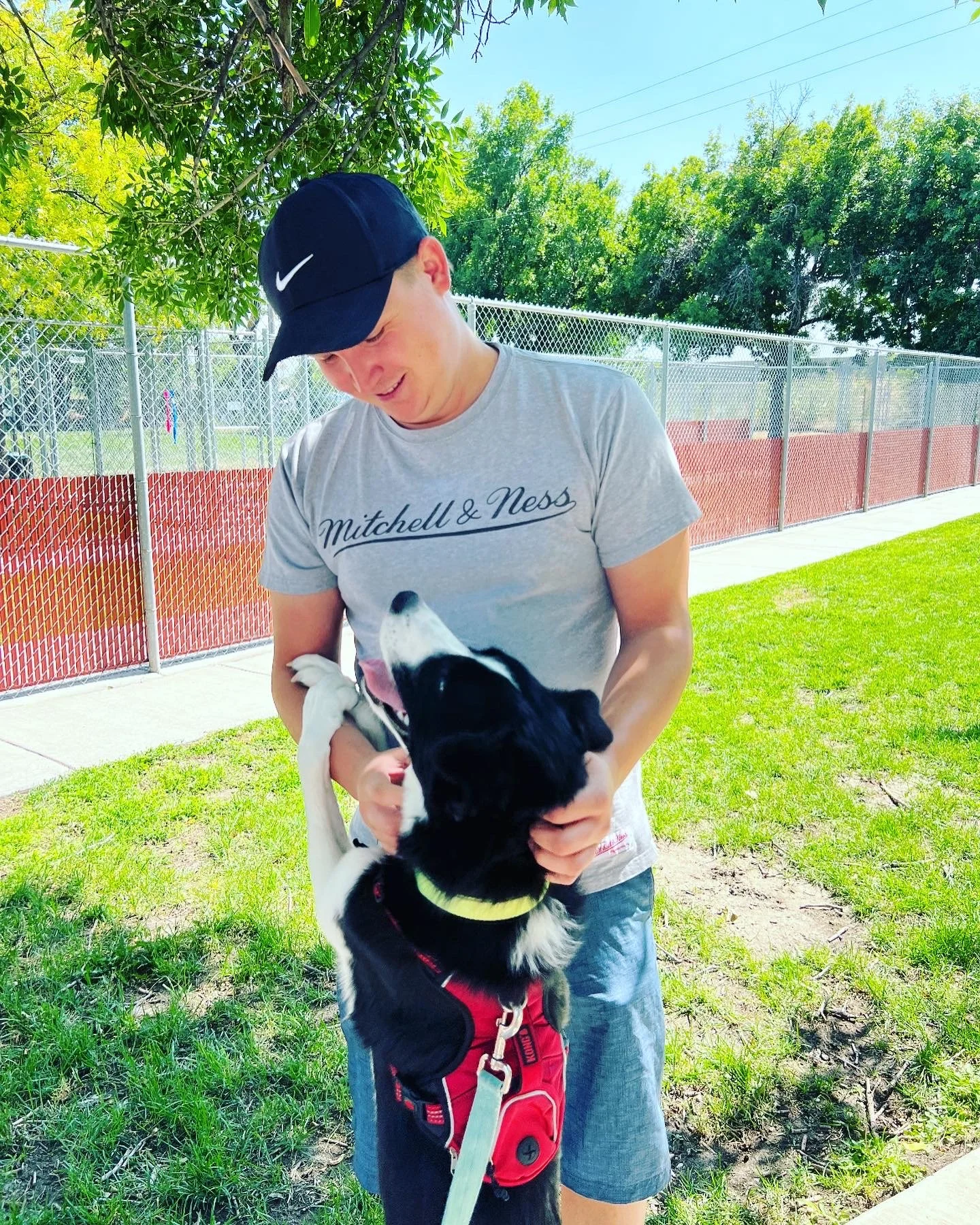 A person wearing a black Nike cap and a gray T-shirt holding a black and white puppy outdoors on a sunny day. The person is smiling and looking at the puppy, who is wearing a red harness and leash. There is a chain-link fence, green grass, and trees in the background.