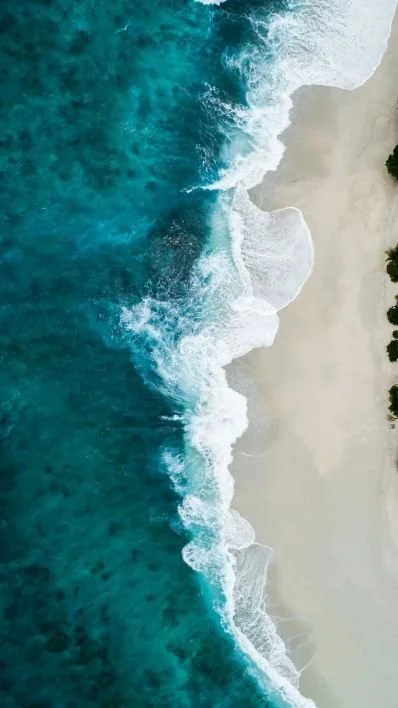 Aerial view of a sandy beach with ocean waves crashing onto the shore and trees along the edge.