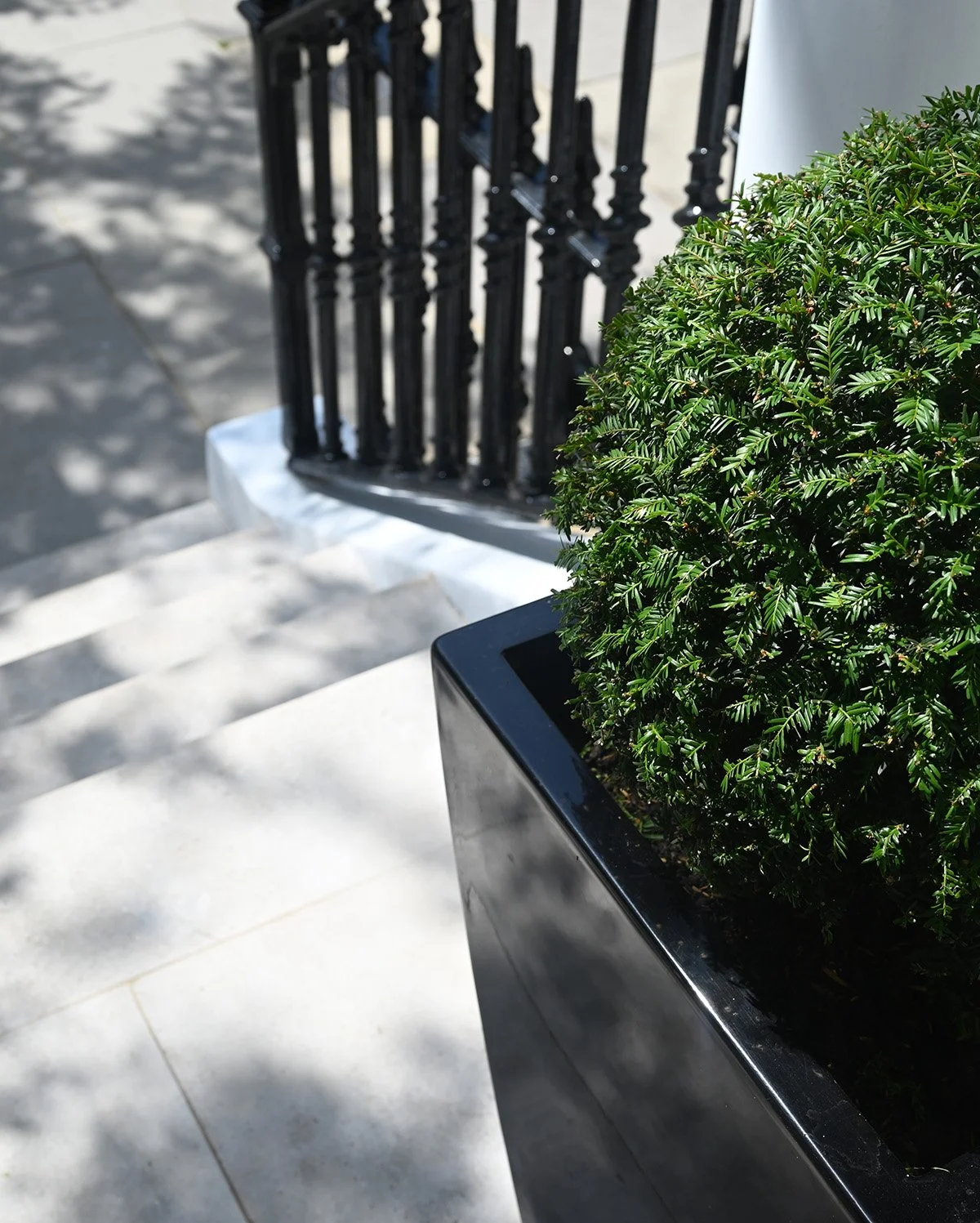 Clipped topiary planting beside a contemporary entrance with architectural landscaping.