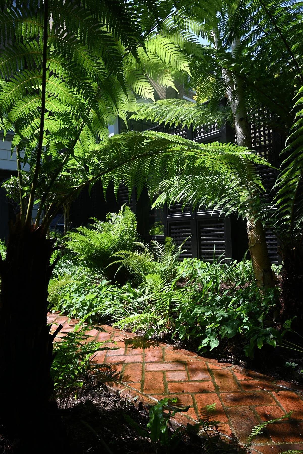 lush-fern-garden-design-central-london.jpg.jpg