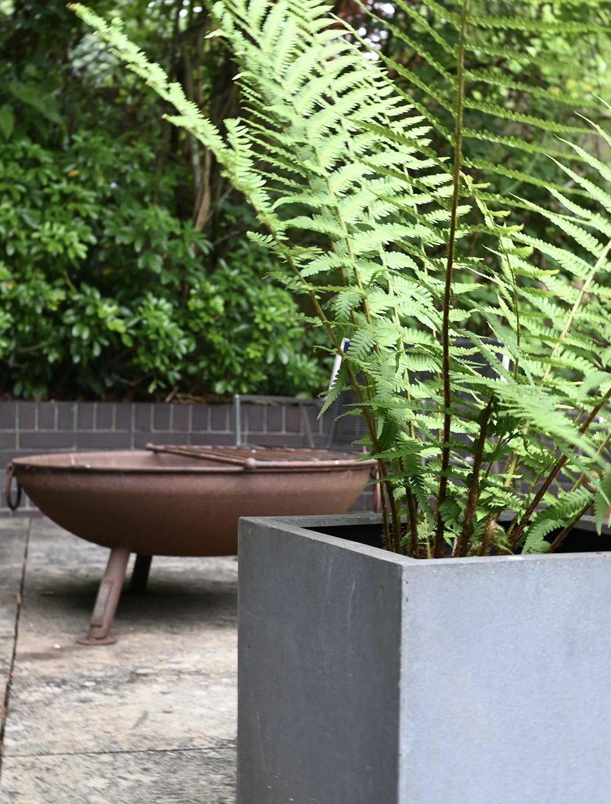 architectural-planters-urban-garden-london.jpg.jpg