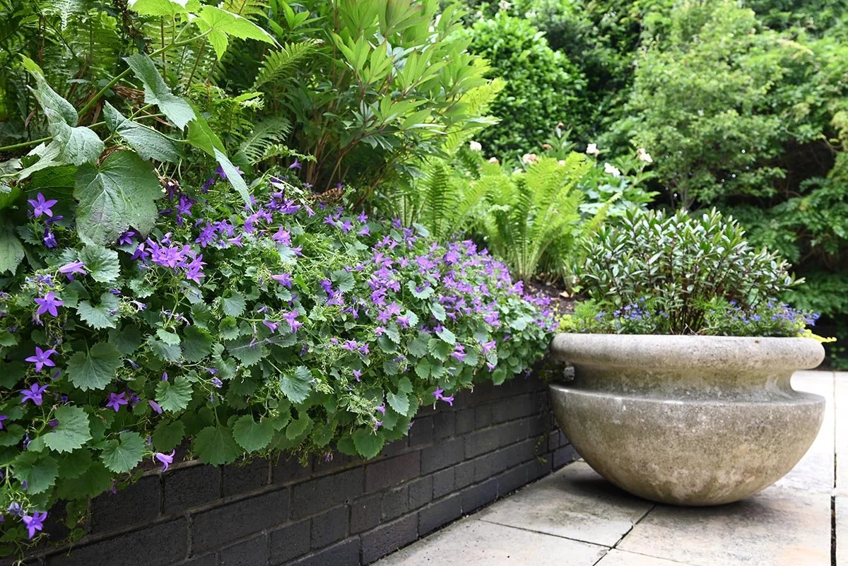 seasonal-perennial-planting-private-garden.jpg.jpg
