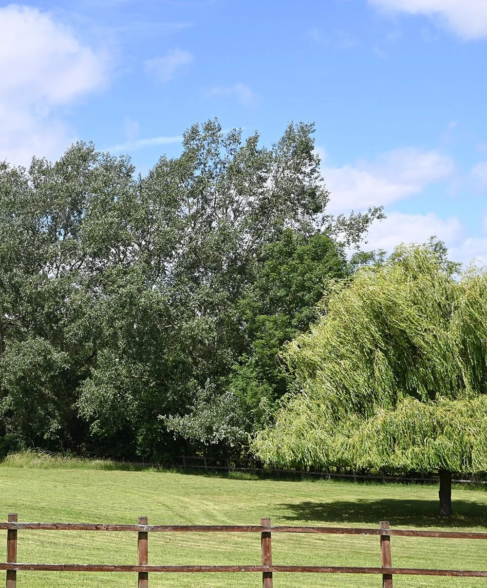 mature-trees-private-estate-garden.jpg