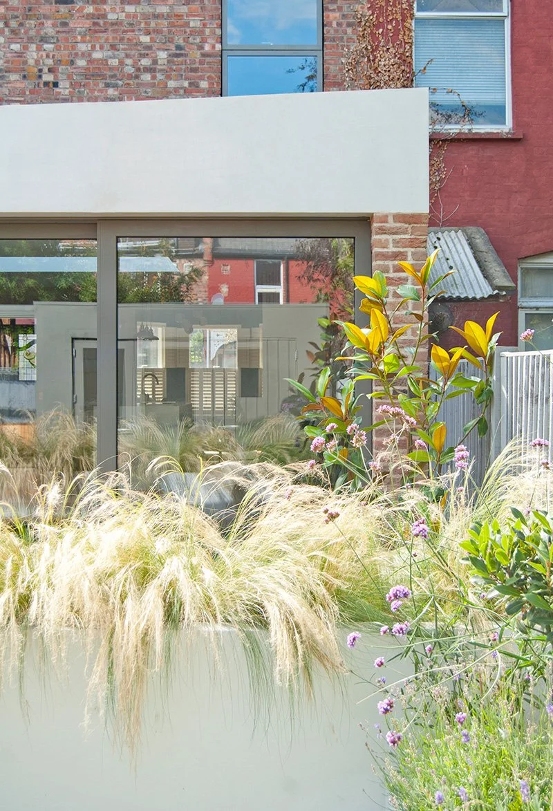 Contemporary garden planting surrounding a modern brick and rendered home.