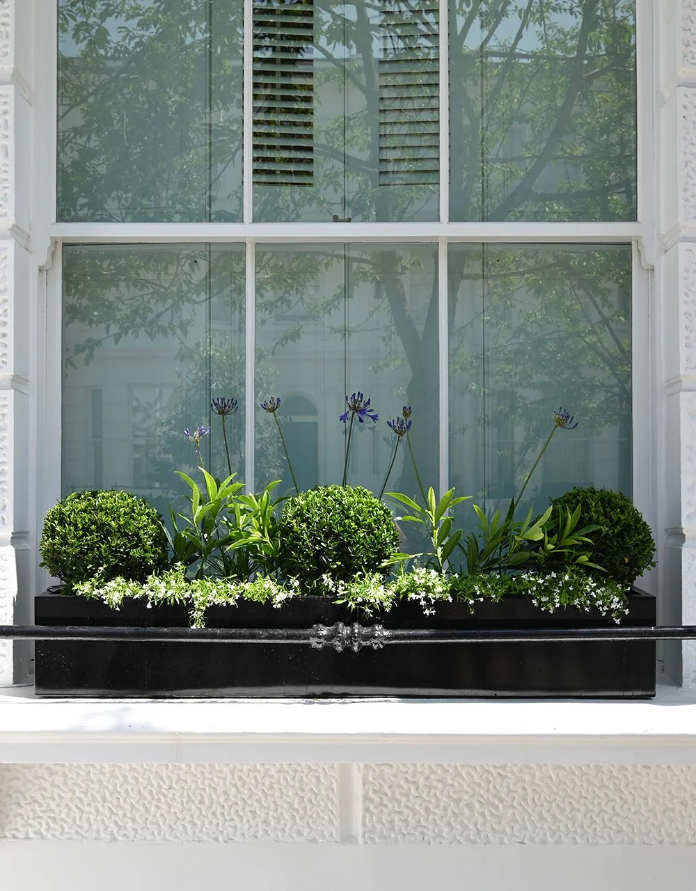 Window box with seasonal planting and flowering plants on a contemporary home.