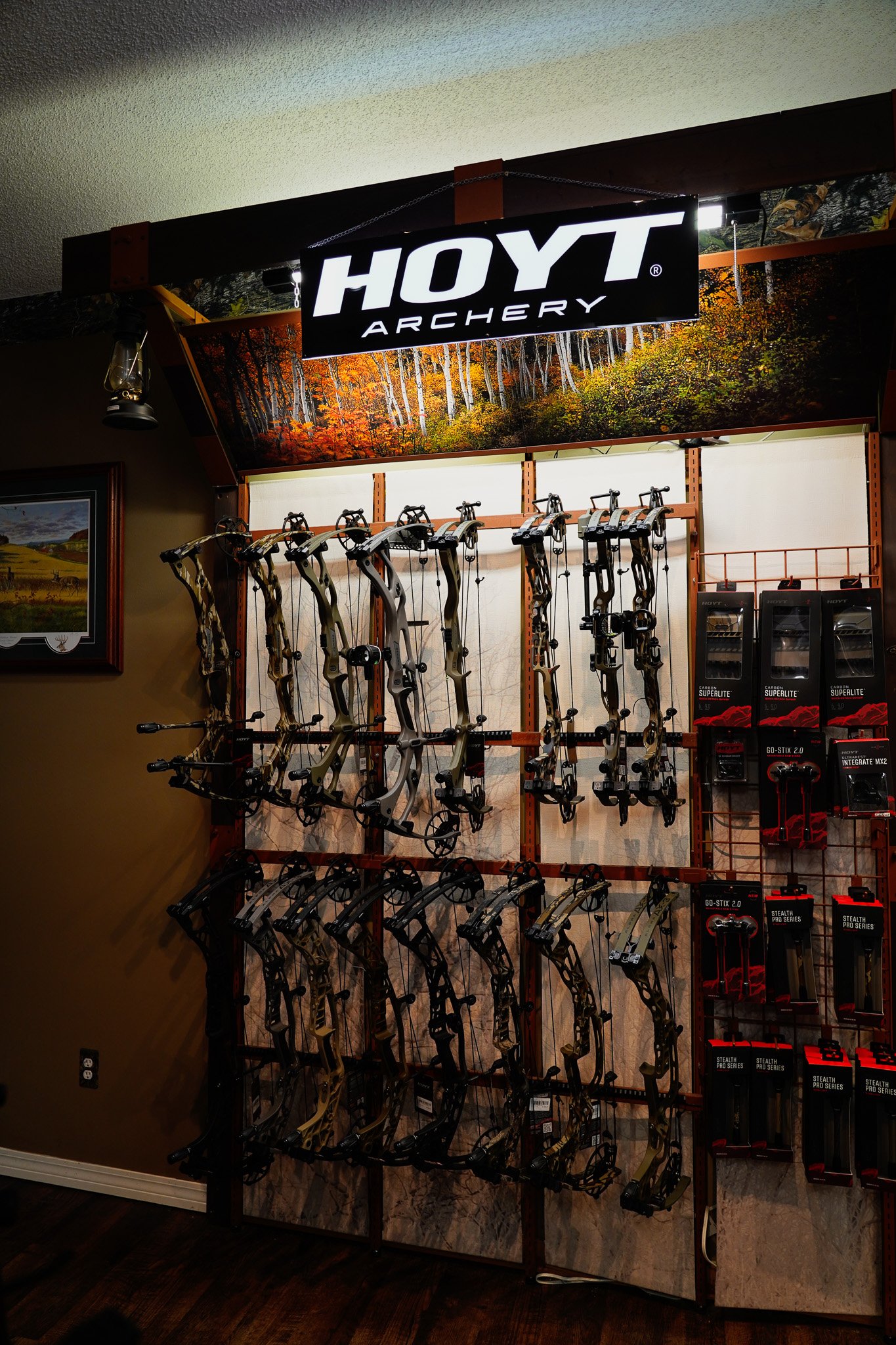 A display of archery equipment at a store, featuring multiple bows hanging on a rack and a sign that reads 'HOYT ARCHERY' with a background image of a forest with autumn foliage.