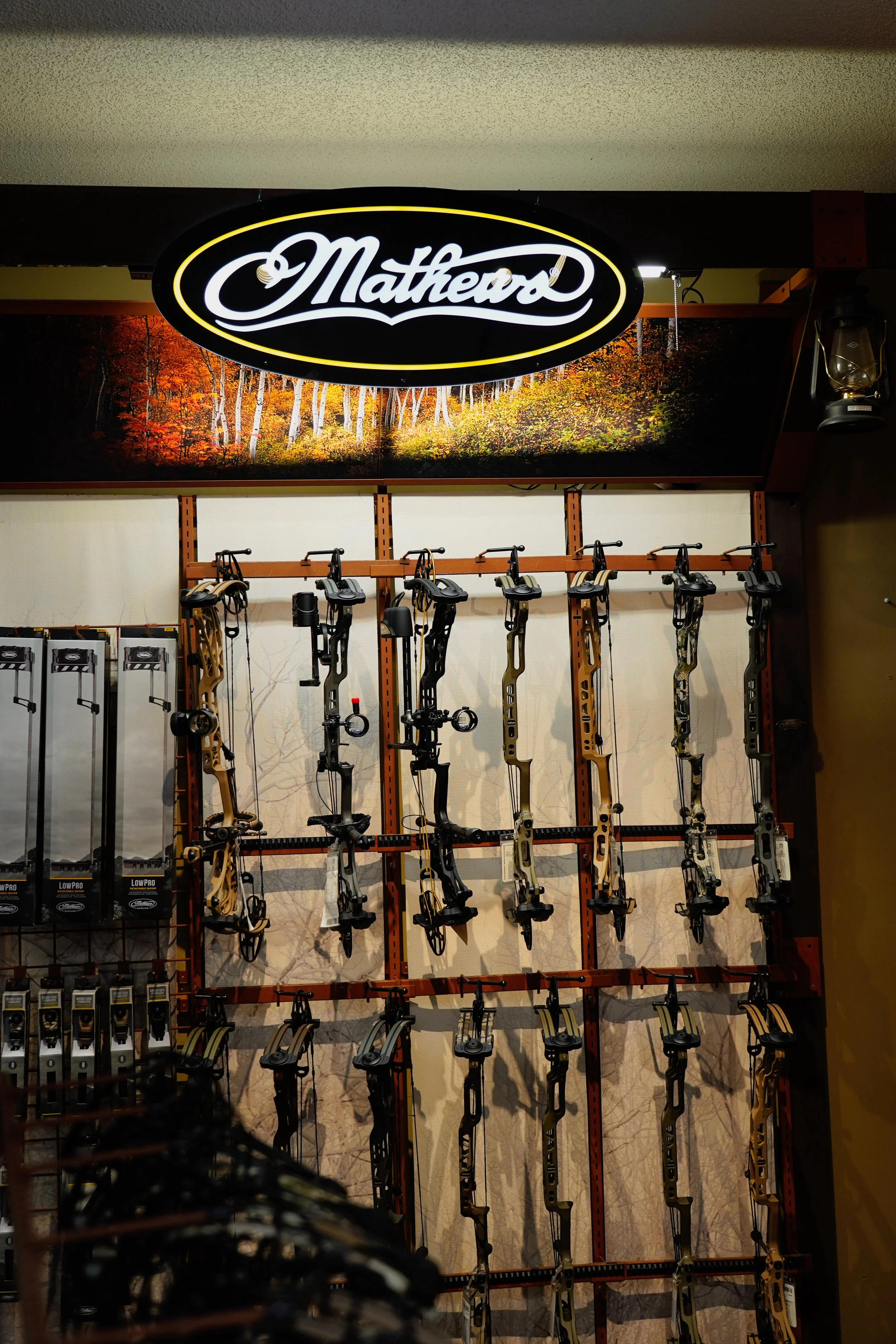 Ski and snowboard shop display with multiple cross-country skis hanging on a rack, with a backdrop of trees in fall foliage and a sign that reads 'Matthews'.