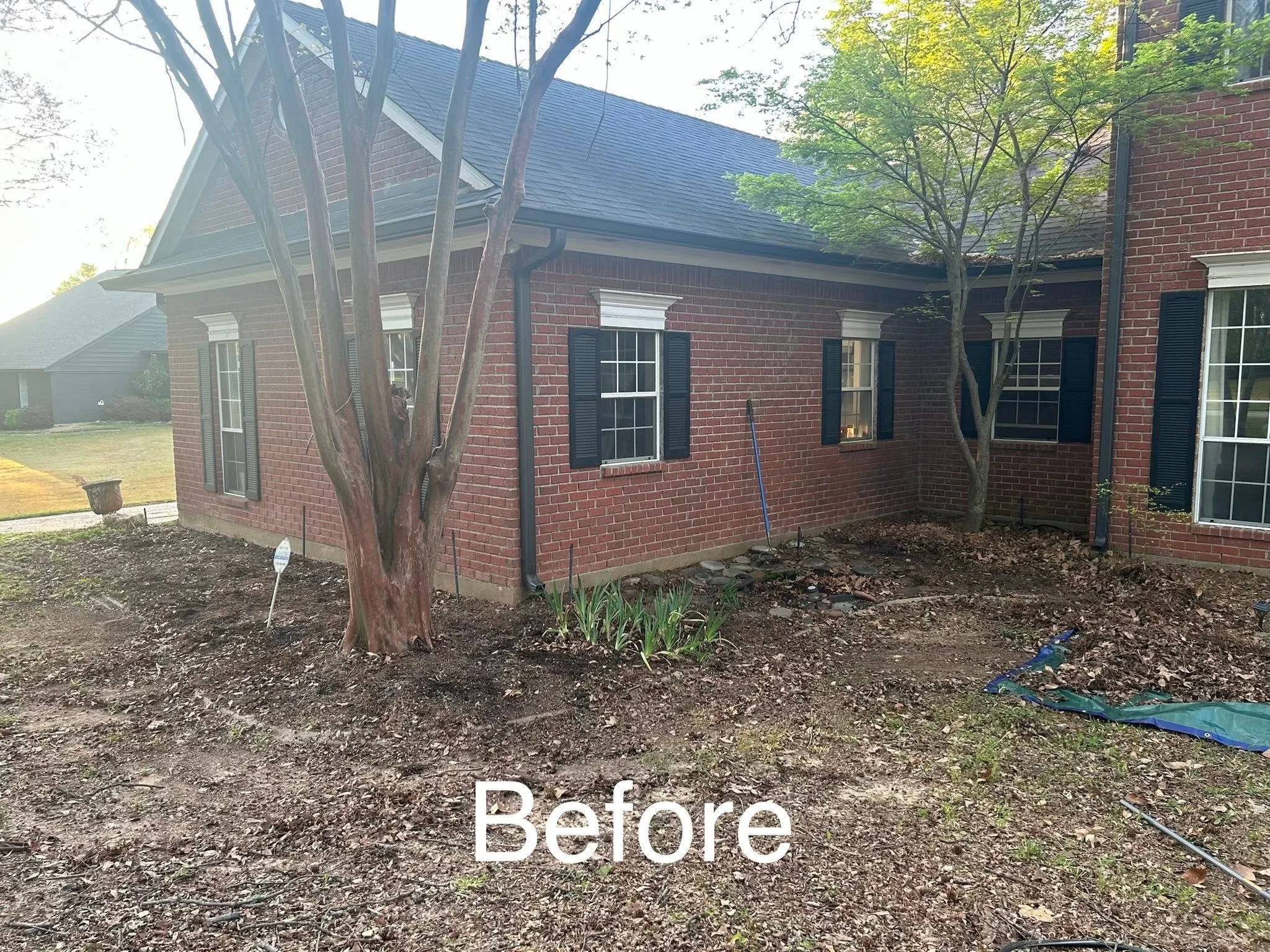 A backyard with brick house walls, windows with shutters, and trees with green leaves. The ground is bare soil with some small plants. The word 'Before' is overlaid at the bottom of the image.