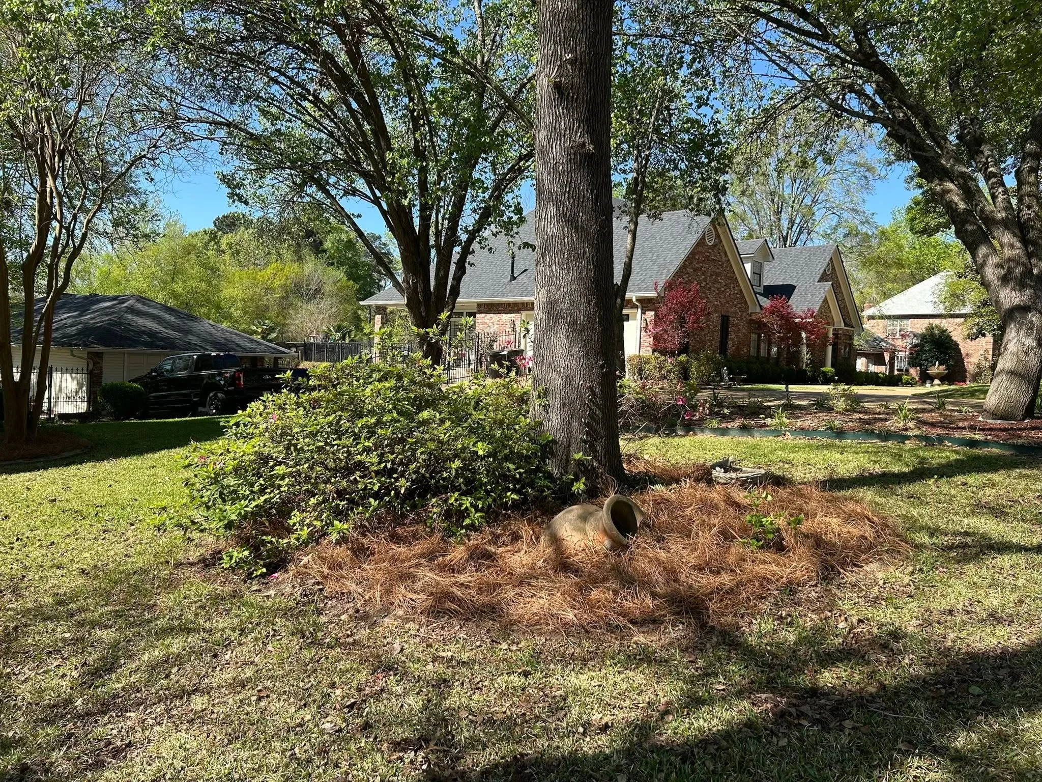 A suburban backyard with a large tree, a brick house, a black SUV, and a mix of green and red trees, under a blue sky.