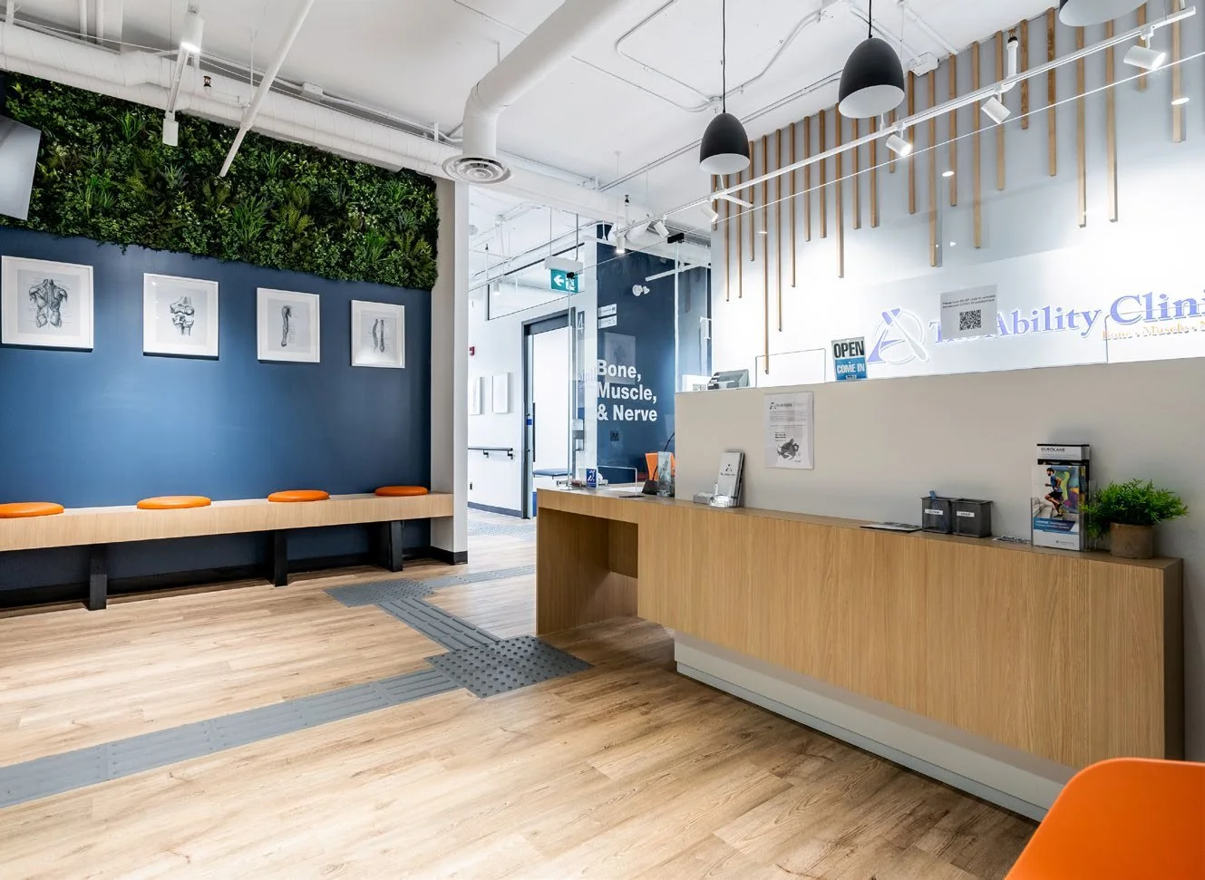 Reception area of a modern clinic with wooden flooring, a blue accent wall with framed skeletal images, green wall plants, a white counter with brochures, and a sign that reads "Bone, Muscle, & Nerve".