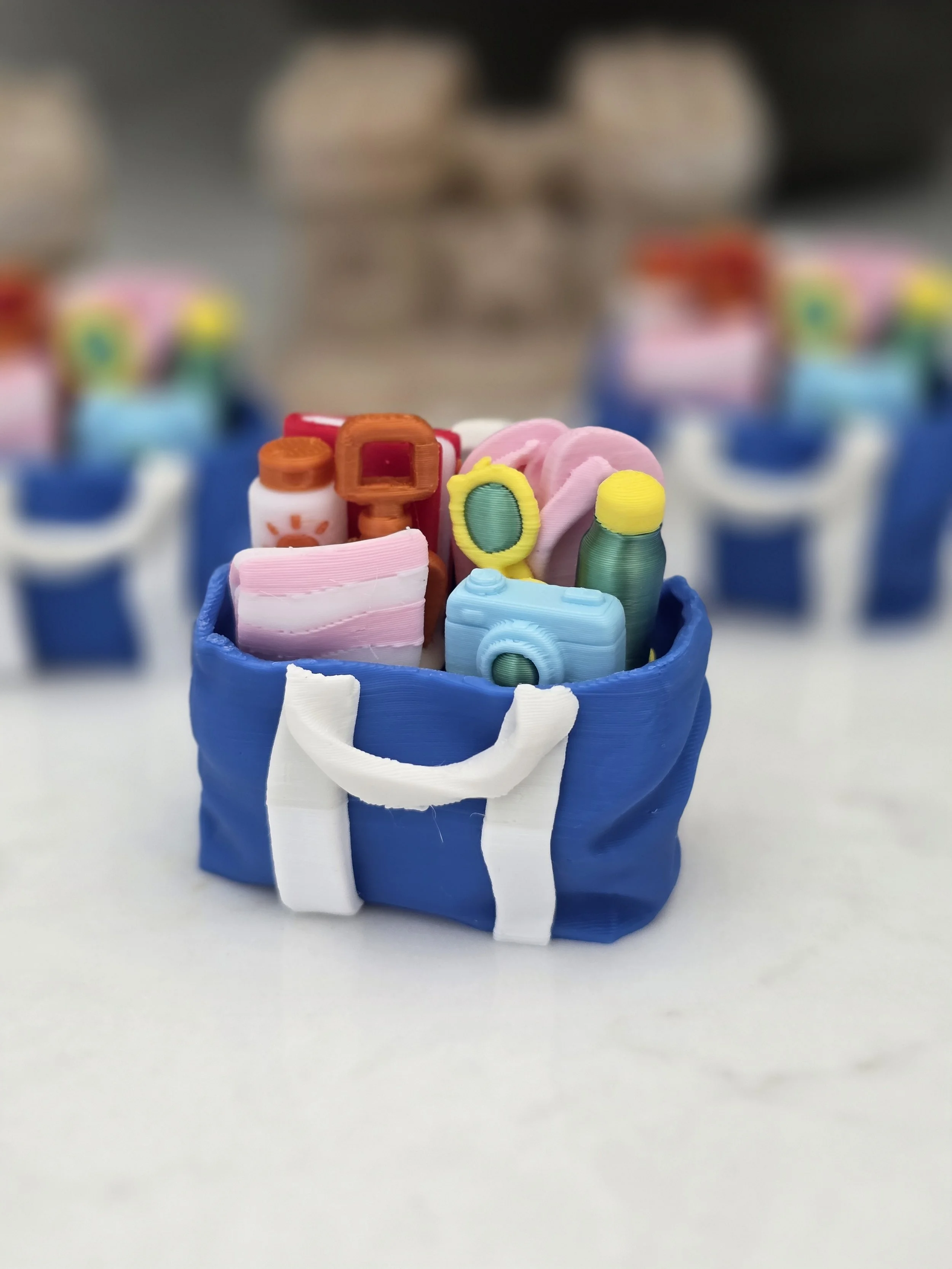 Beach Bag