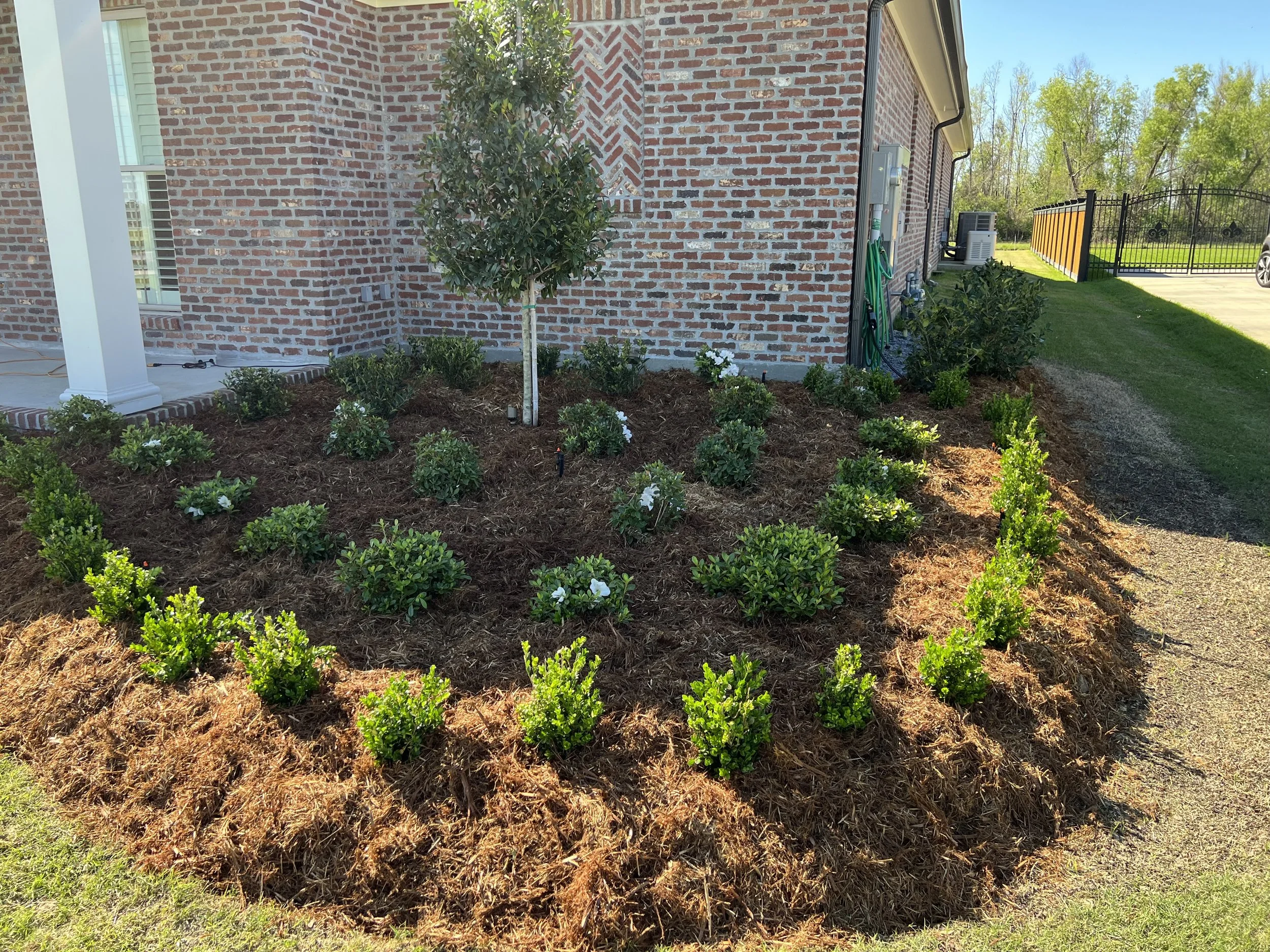 A landscaped garden bed with small bushes, flowers, and a small tree in front of a brick house with a porch. A black and yellow privacy fence is visible on the right, with grass and trees in the background.