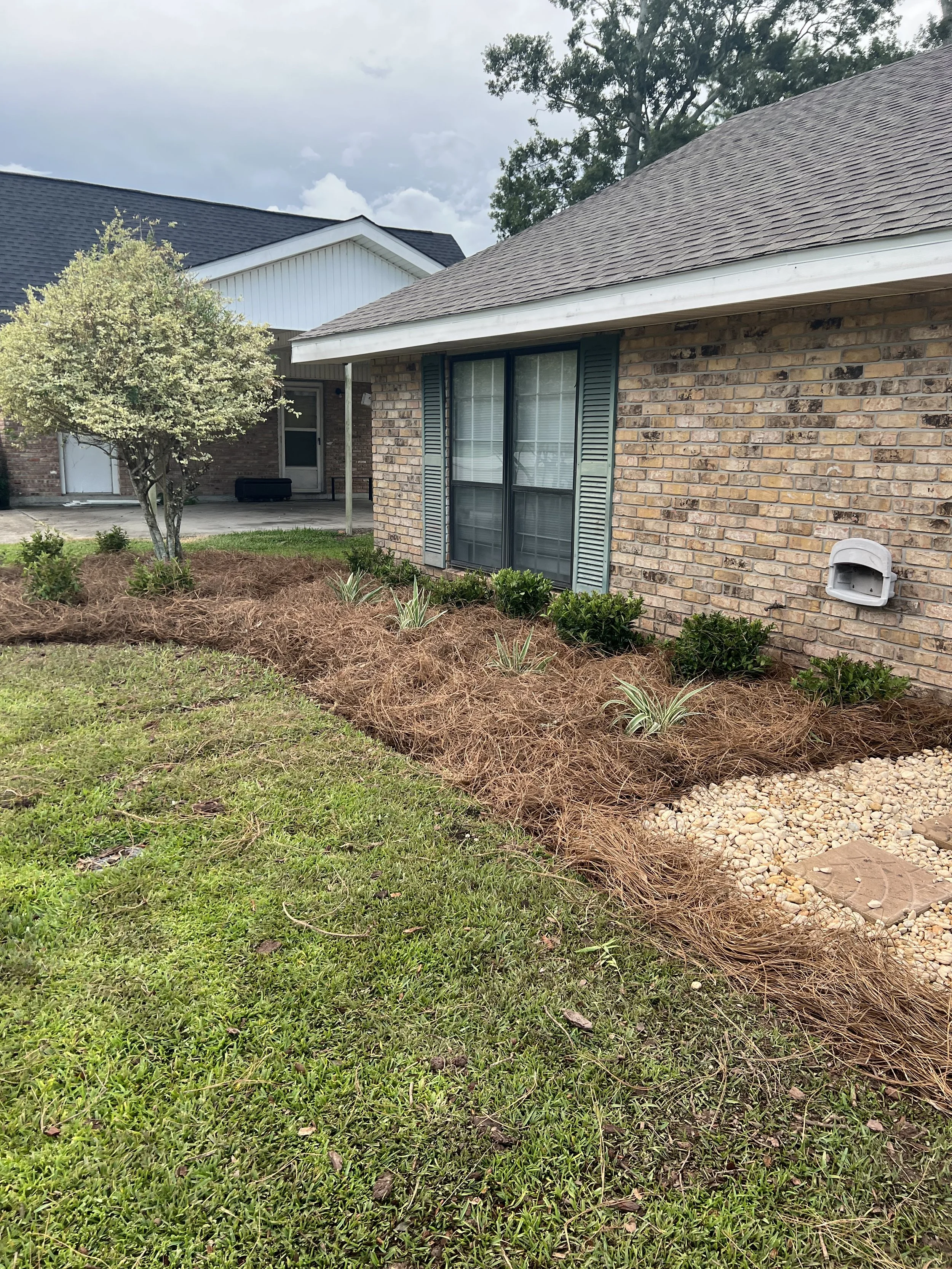 A backyard scene with a brick house, a window with blue shutters, a small tree, and a landscaped garden bed with mulch and small plants. The sky is cloudy.
