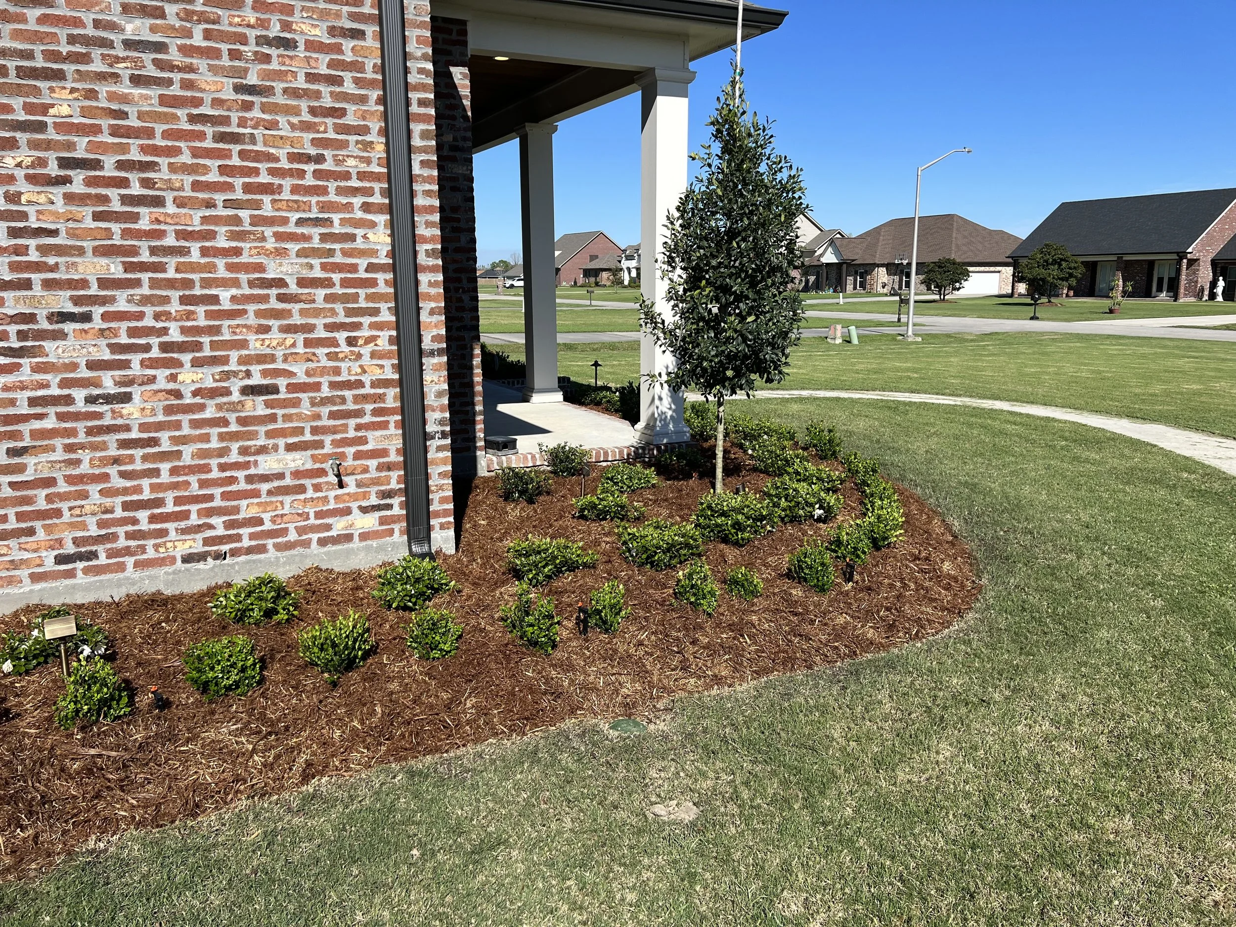 View of a front yard with a brick house on the left, a small landscaped area with mulch and green shrubs, and a lawn in a suburban neighborhood under a clear blue sky.