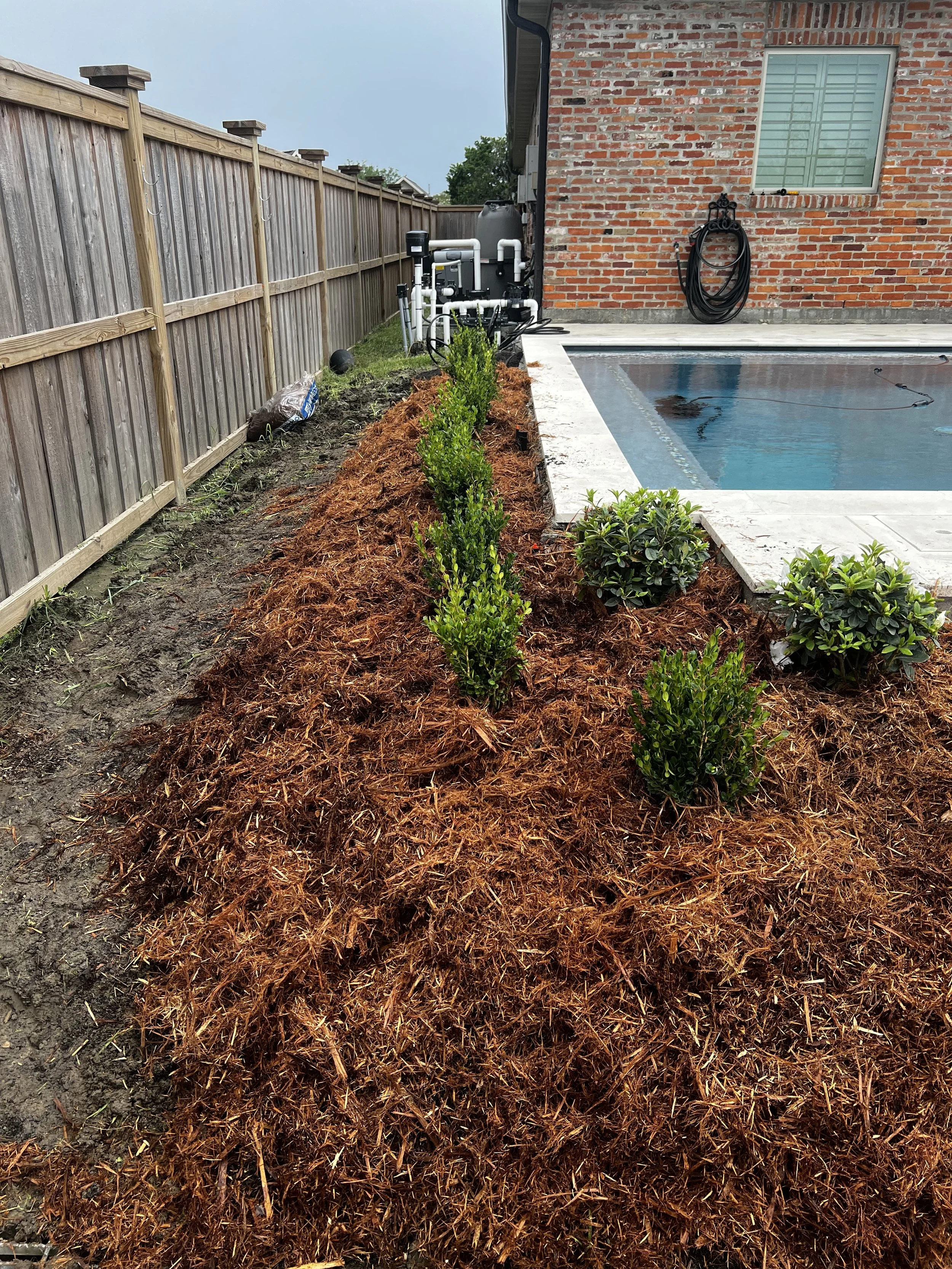 A backyard with a swimming pool, a wooden fence on the left, and a brick house on the right. There are small bushes along the pool's edge and a mulch bed with freshly laid mulch next to the bushes. In the background, there is pool equipment, a coiled