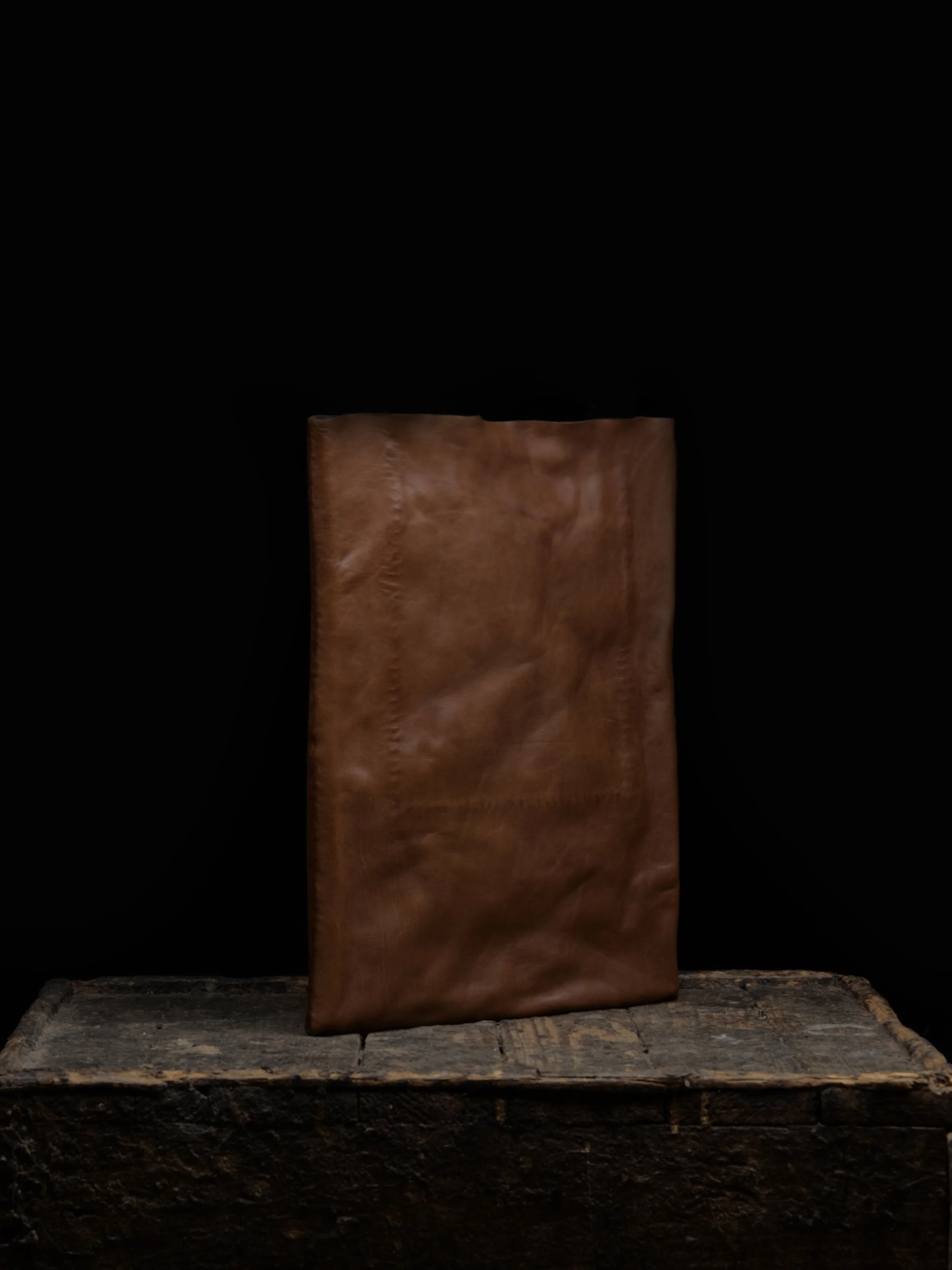 2s-Shopper-M-Hassan-Ameli.jpg