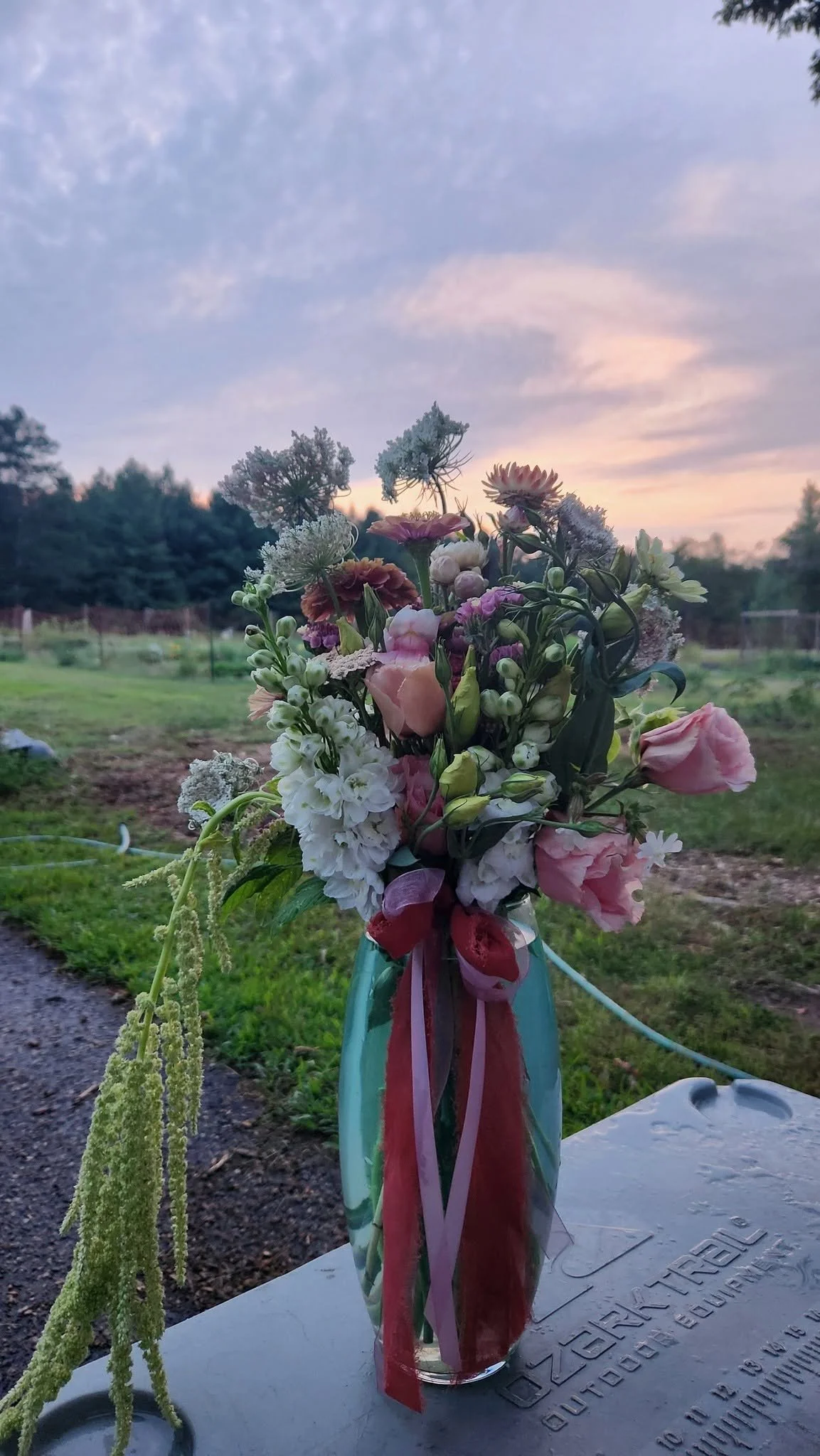 Top Tips for Picking and Preserving Fresh Cut Flowers from the Field
