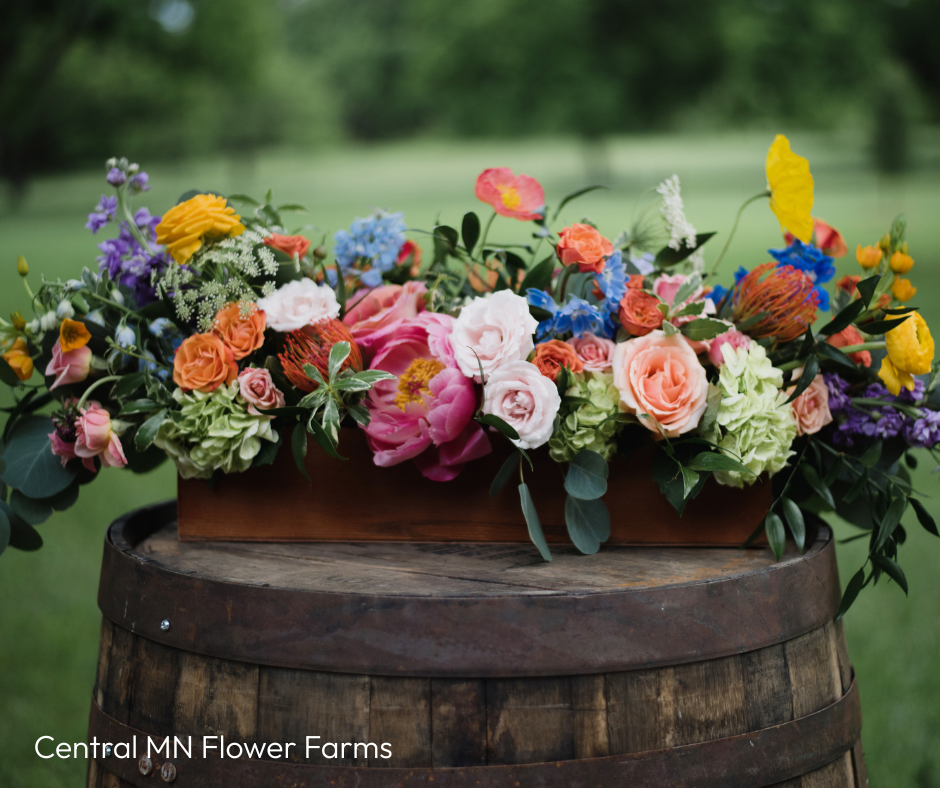 Why Cambridge, MN, Is a Hidden Gem for Flower Lovers