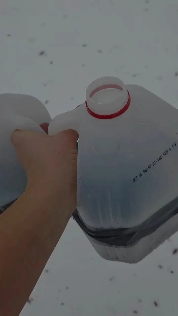 Winter Sowing with Milk Cartons: A Simple Method for Cold-Hardy Flowers in Minnesota