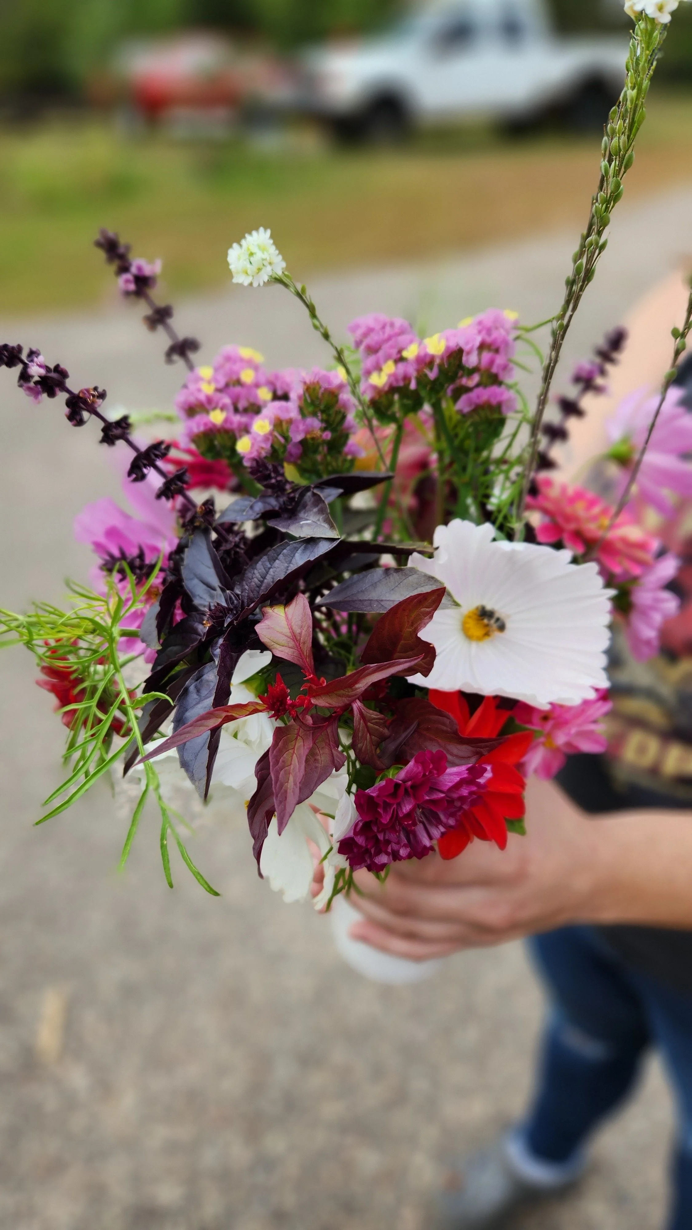 Hand holding a colorful bouquet of flowers including white, pink, purple, and red blooms with green and dark purple leaves.  from a you-pick or u-pick flower farm in east central minnesota