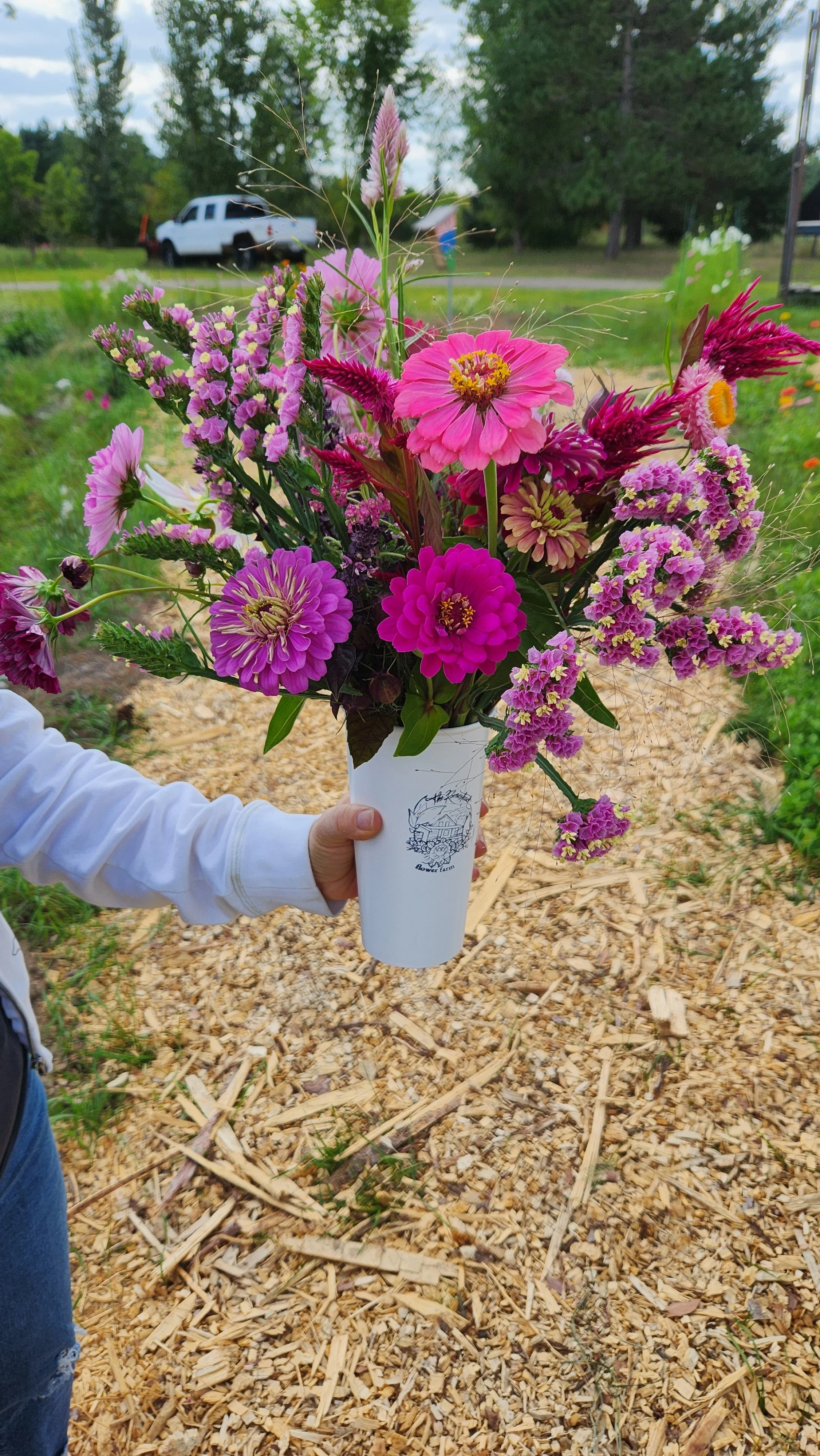 Colorful bouquet of pink, purple, and fuchsia flowers held by a person in a white long sleeve shirt against an outdoor background with trees, a white vehicle, and a gravel path.  from a you-pick or u-pick flower farm in east central minnesota