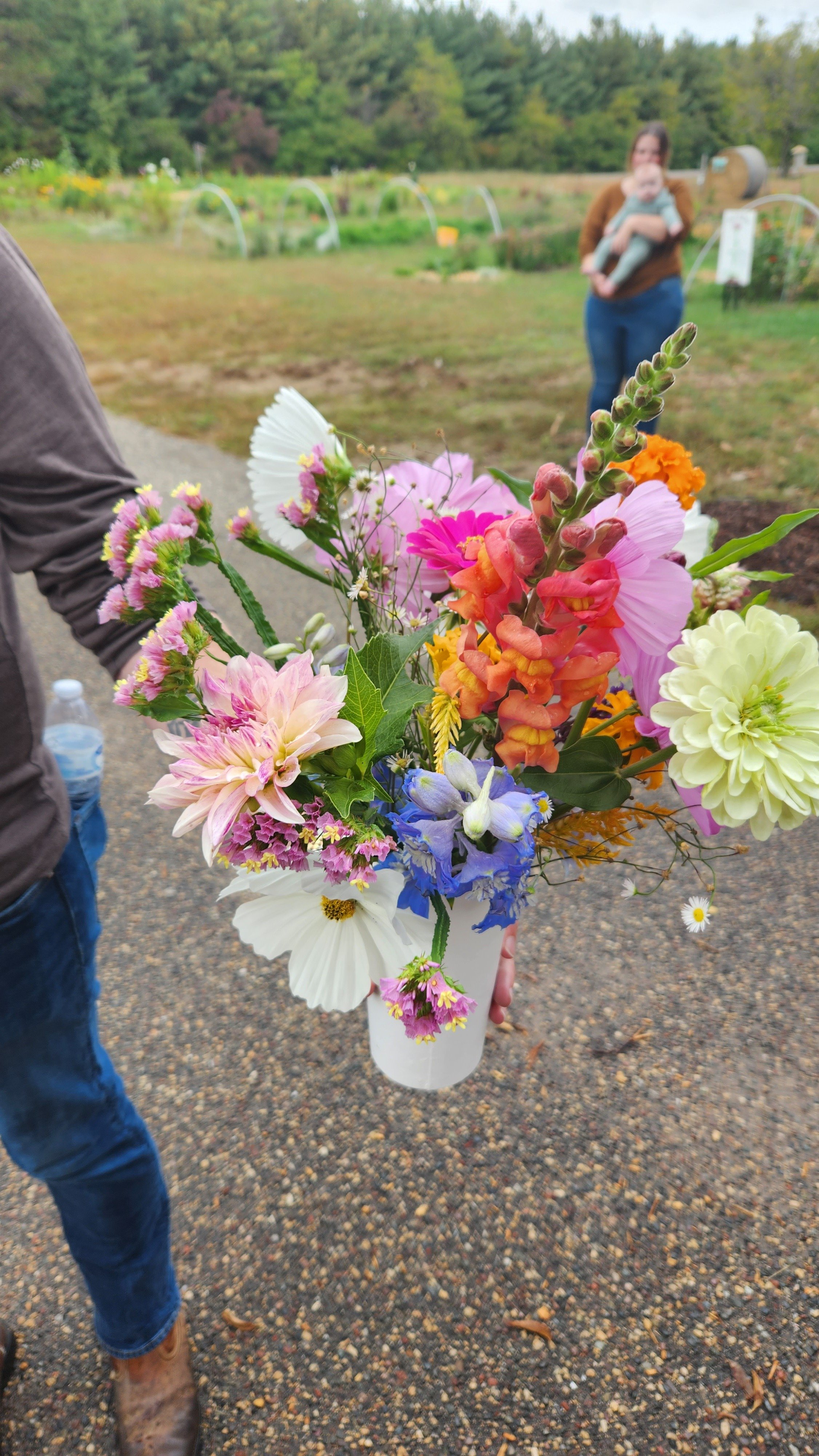 Person holding a bouquet of colorful flowers in a white vase outdoors with trees and a woman with a baby in the background.  from a you-pick or u-pick flower farm in east central minnesota
