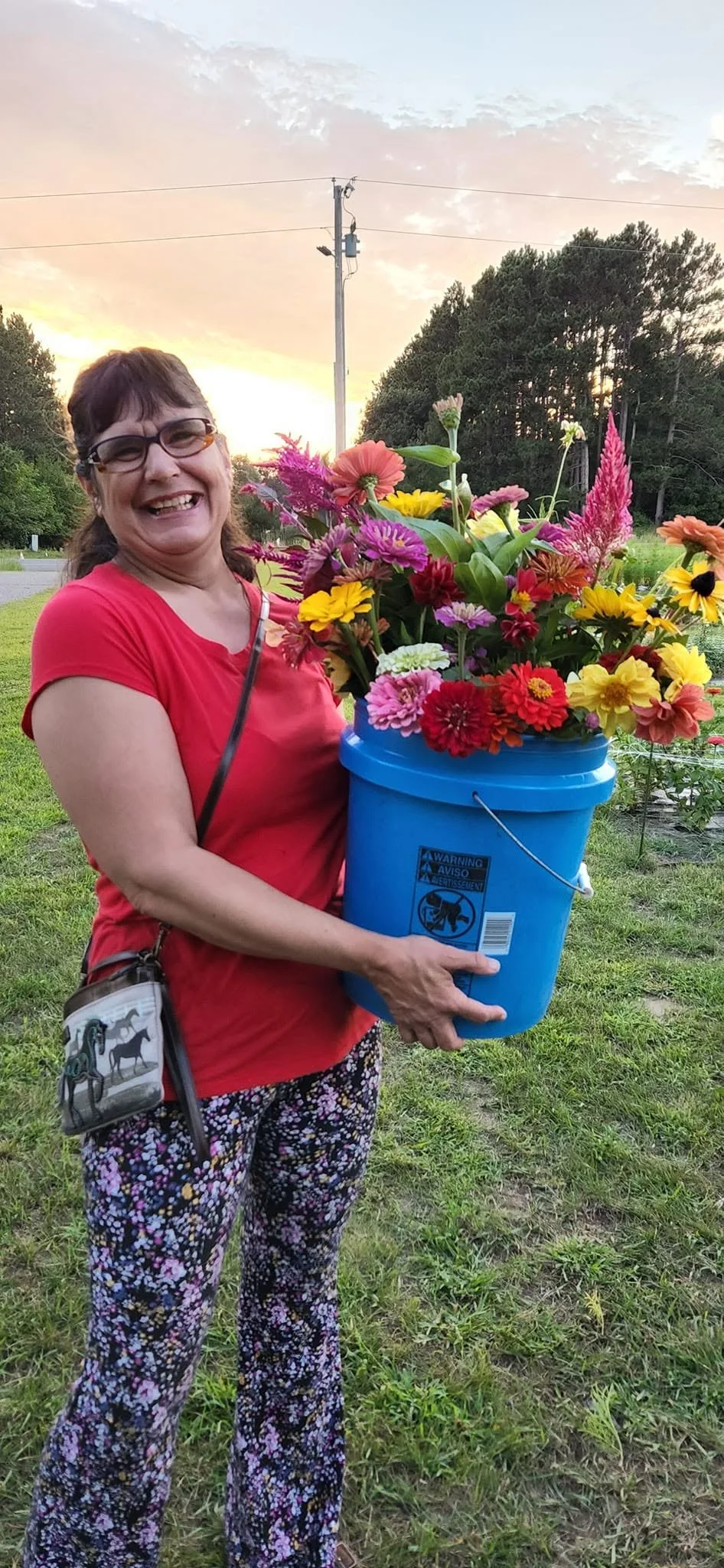 Cambridge MN You pick Flowers bulk bucket