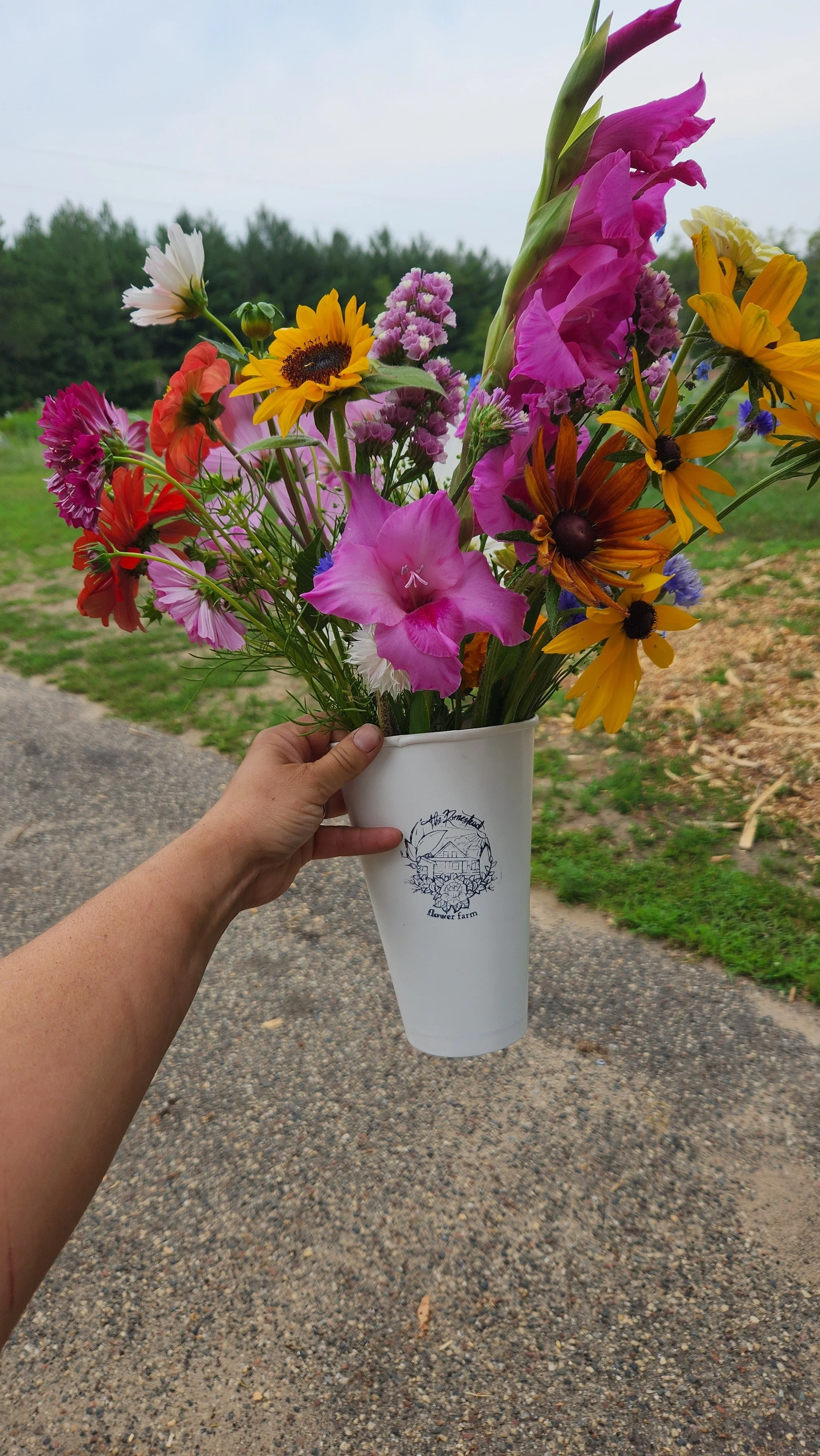 A person holding a white cup filled with colorful flowers outdoors on a cloudy day.  from a you-pick or u-pick flower farm in east central minnesota
