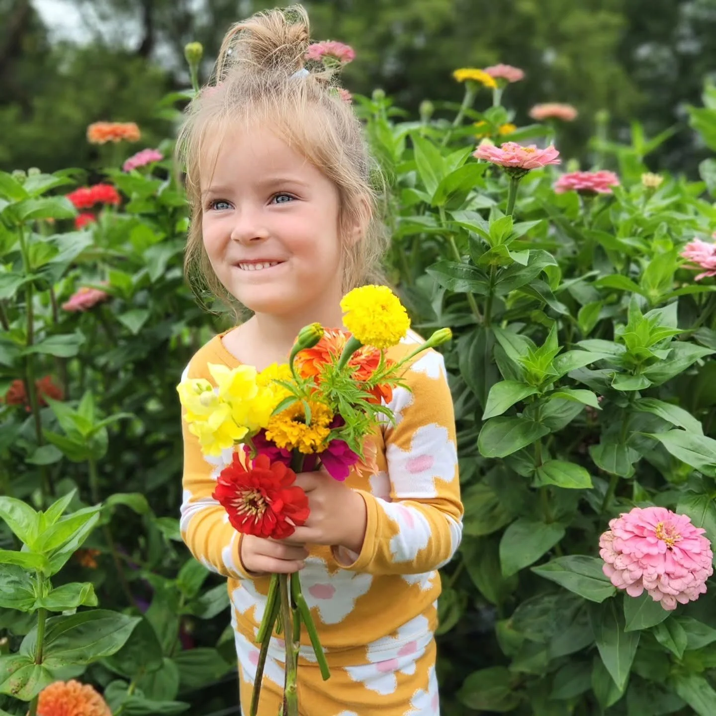 you pick flowers, flower farm, minnesota