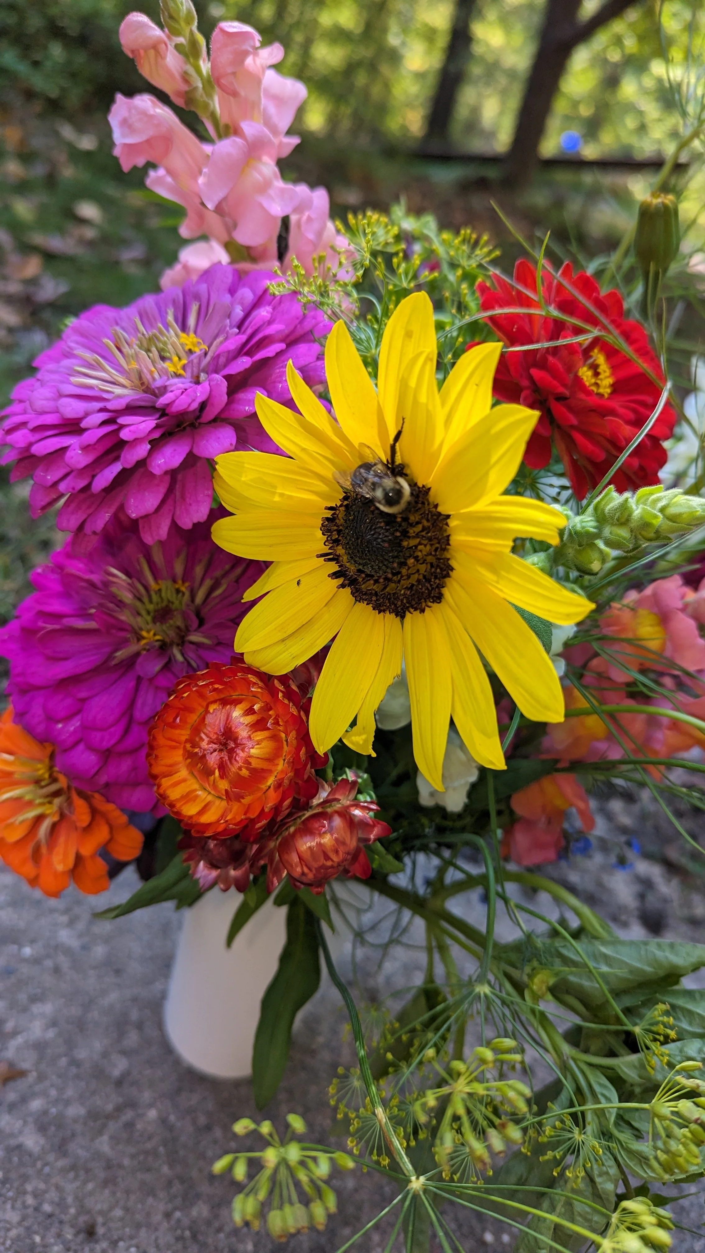 A vibrant bouquet of colorful flowers, including a yellow sunflower with a bee on it, pink, purple, red, and orange flowers, with greenery and a blurred outdoor background.  from a you-pick or u-pick flower farm in east central minnesota