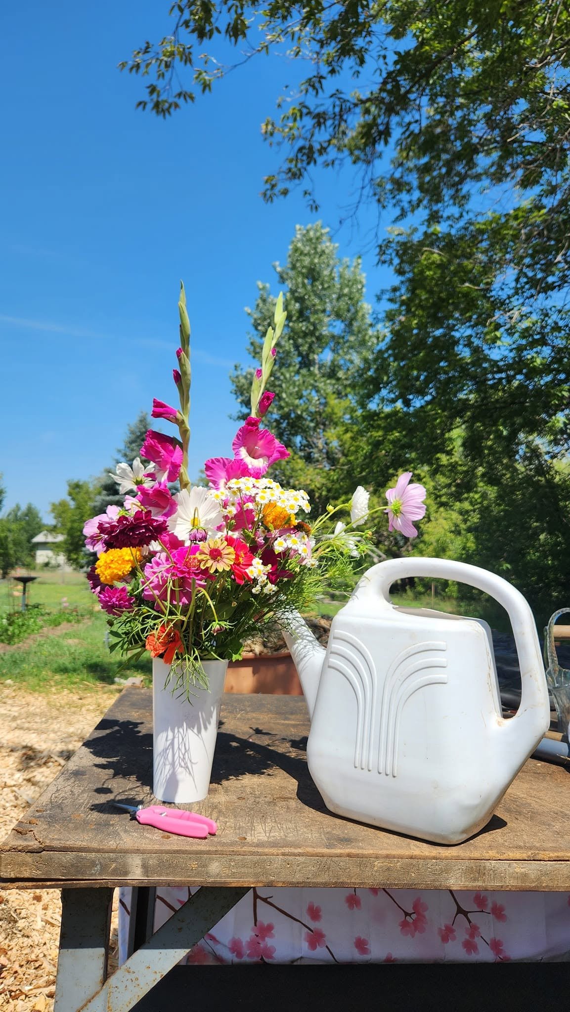 A colorful bouquet of flowers in a white vase, a white watering can, and gardening tools on a wooden table outdoors under a bright blue sky with trees in the background. you pick flowers u-pick