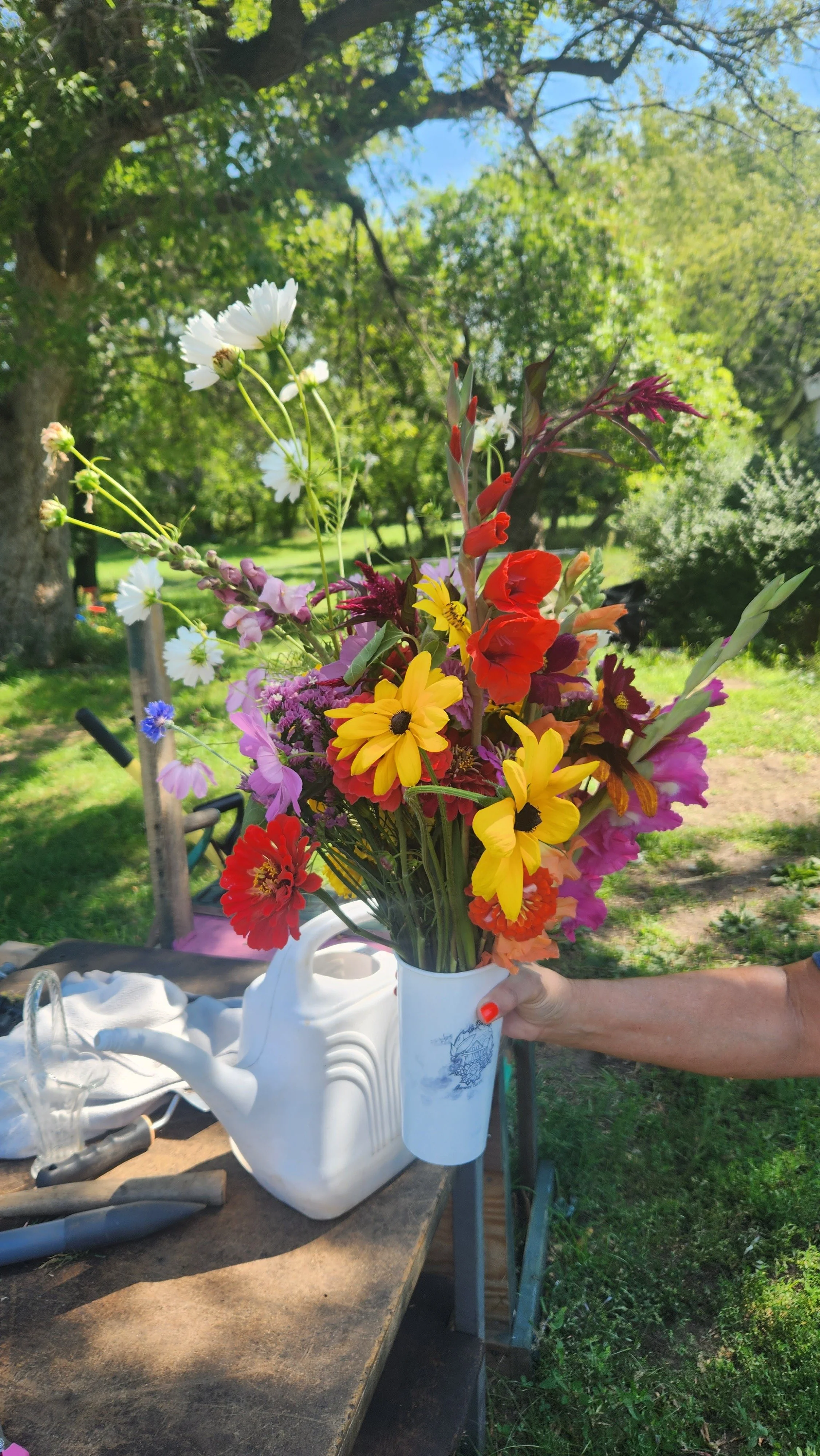 A person holding a white vase filled with multicolored flowers outdoors. The background shows green trees and blue sky.  from a you-pick or u-pick flower farm in east central minnesota