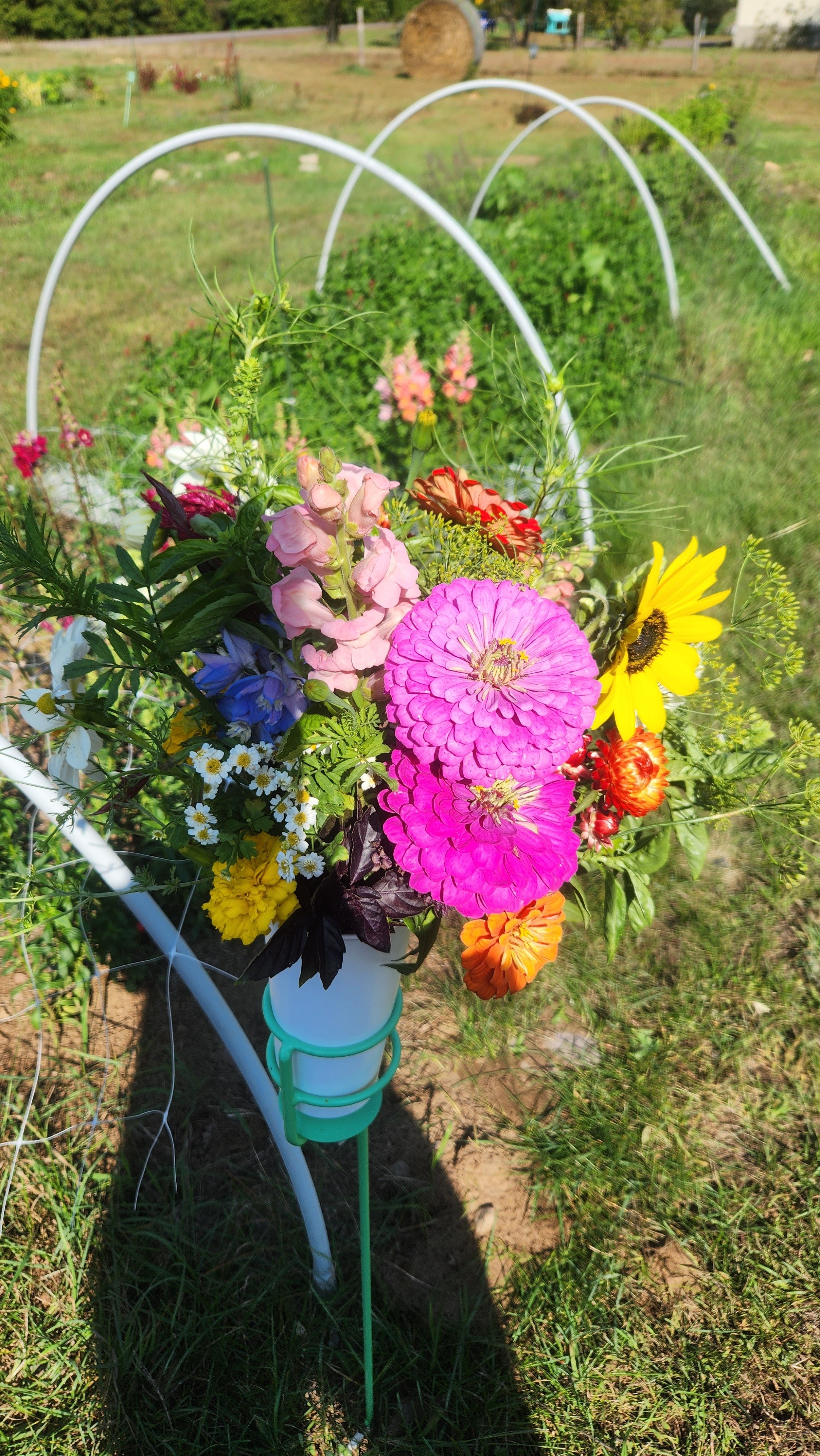 Colorful bouquet of various flowers in a white and green vase outdoors, with green grass and garden plants in the background.