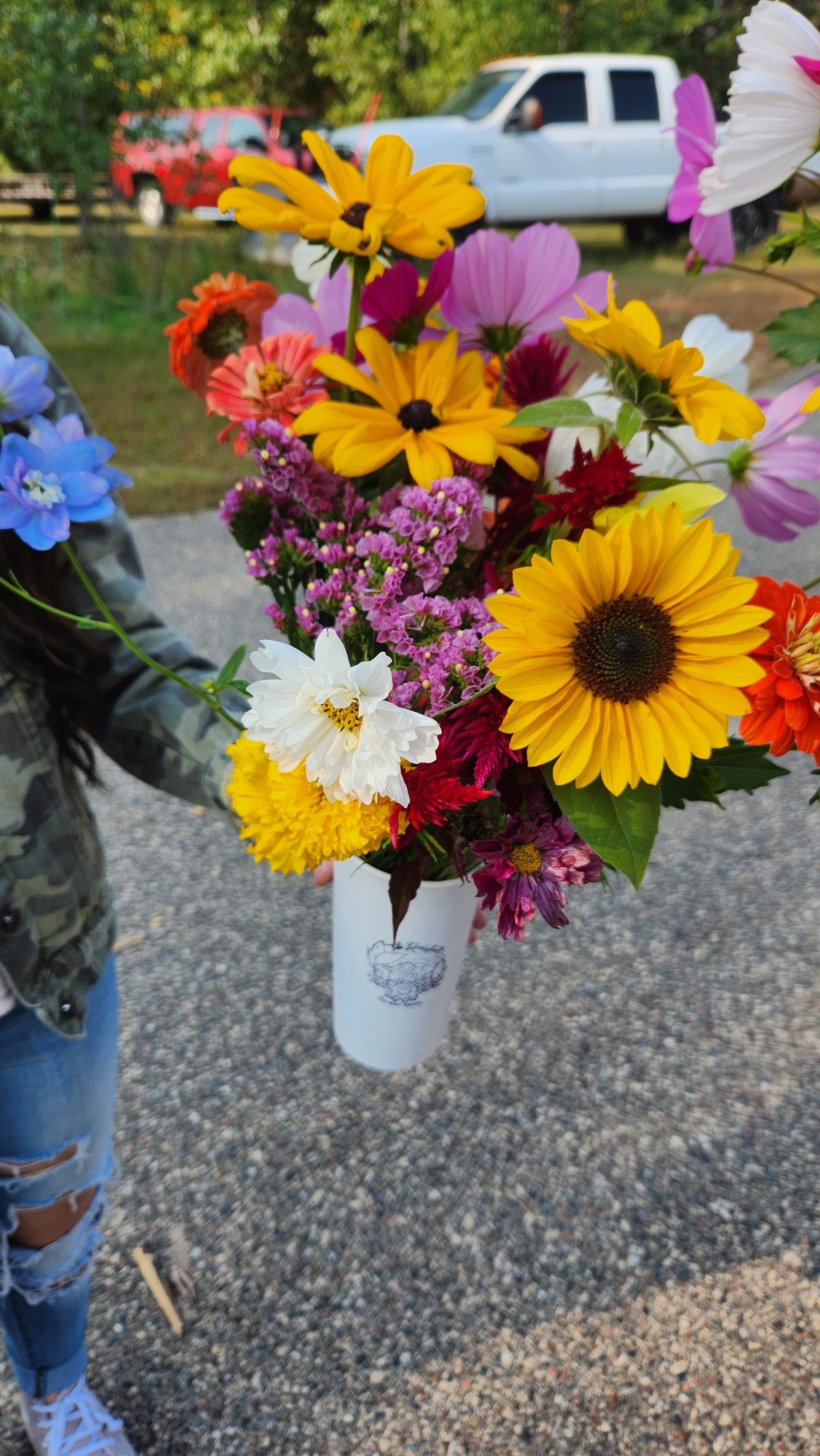 A person holding a bouquet of colorful flowers in a white cup outdoors with cars and trees in the background.  from a you-pick or u-pick flower farm in east central minnesota
