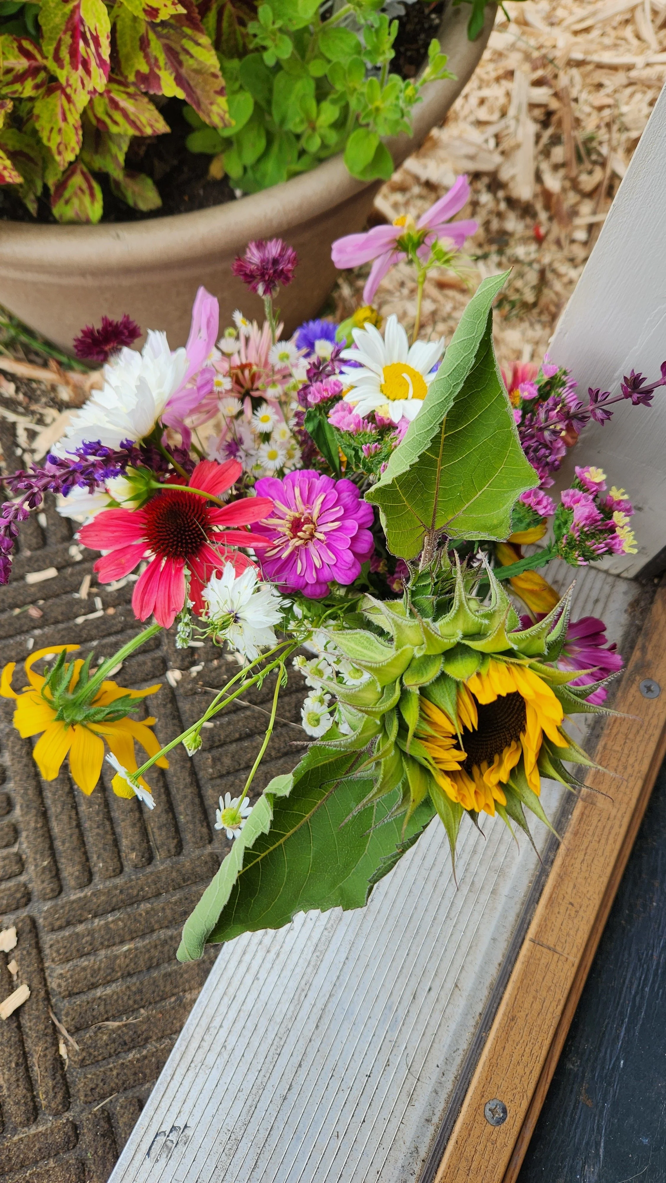 Colorful bouquet of various flowers including sunflowers, daisies, and zinnias, with a green leaf, placed on a textured surface next to a white wooden border from a you-pick or u-pick flower farm in east central minnesota