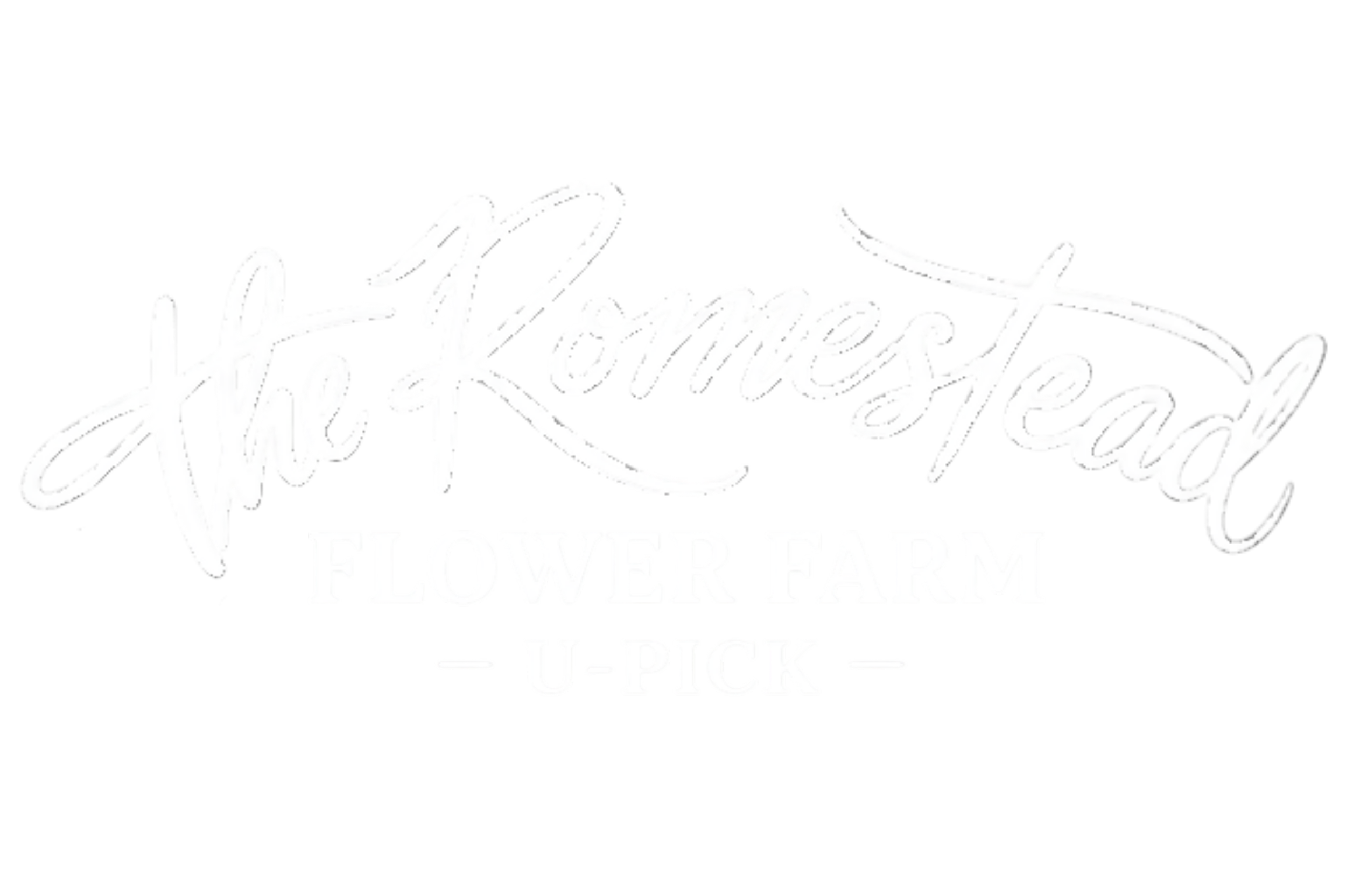 The Romestead Flower Farm U-Pick